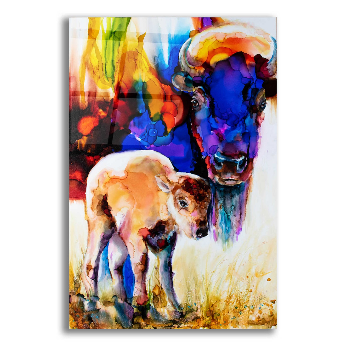 Epic Art 'Bison By Son_1' by Leslie Franklin, Acrylic Glass Wall Art,12x16