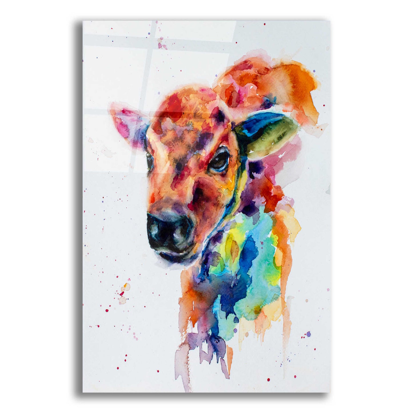 Epic Art 'Bison Calf_1' by Leslie Franklin, Acrylic Glass Wall Art,12x16