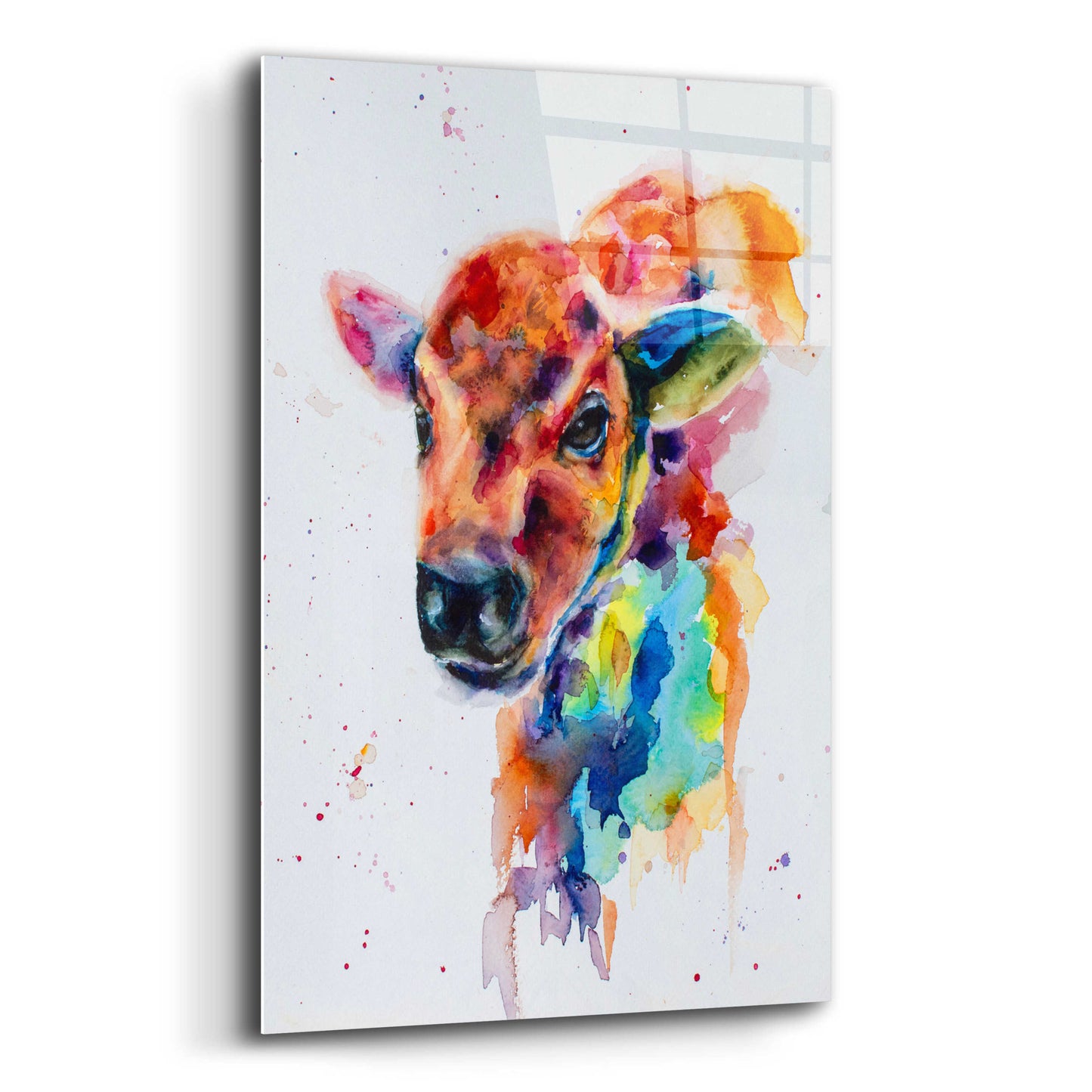 Epic Art 'Bison Calf_1' by Leslie Franklin, Acrylic Glass Wall Art,16x24