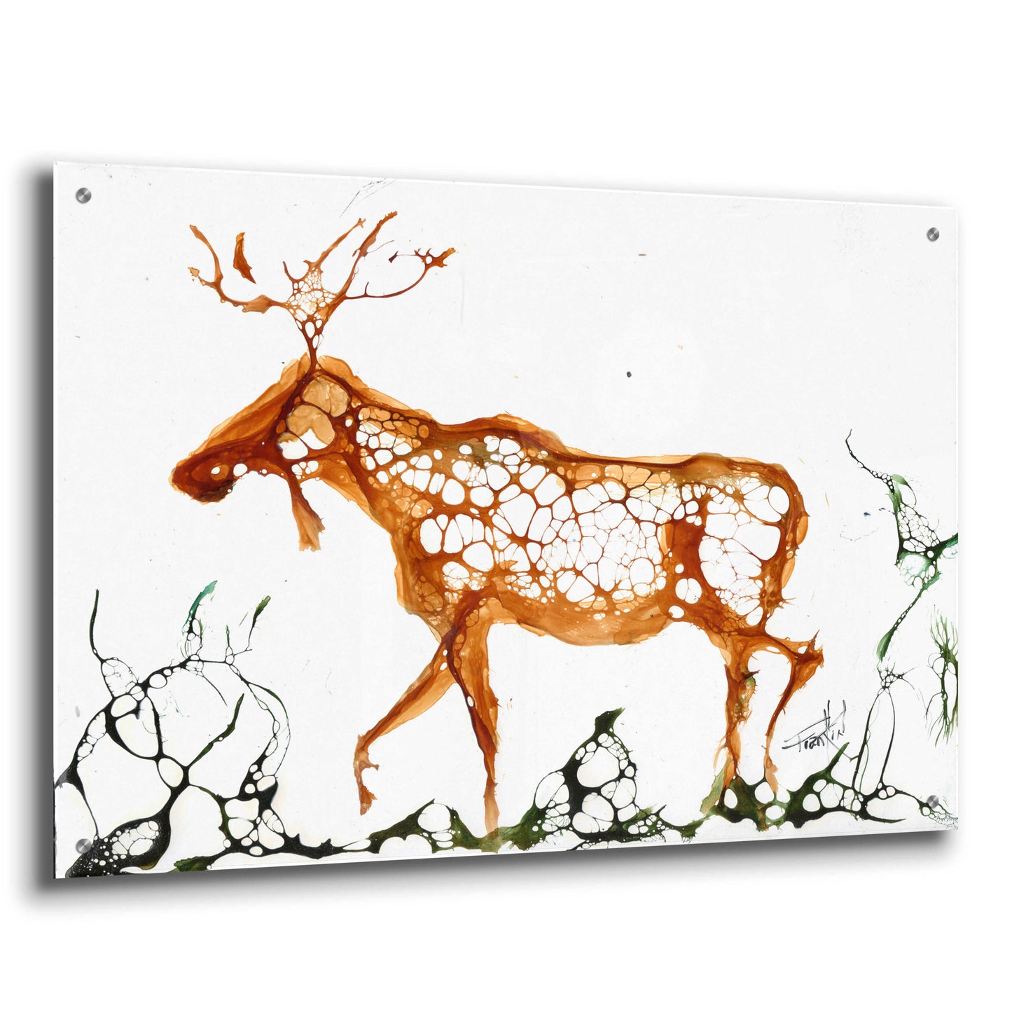 Epic Art 'Cellular Moose' by Leslie Franklin, Acrylic Glass Wall Art,36x24