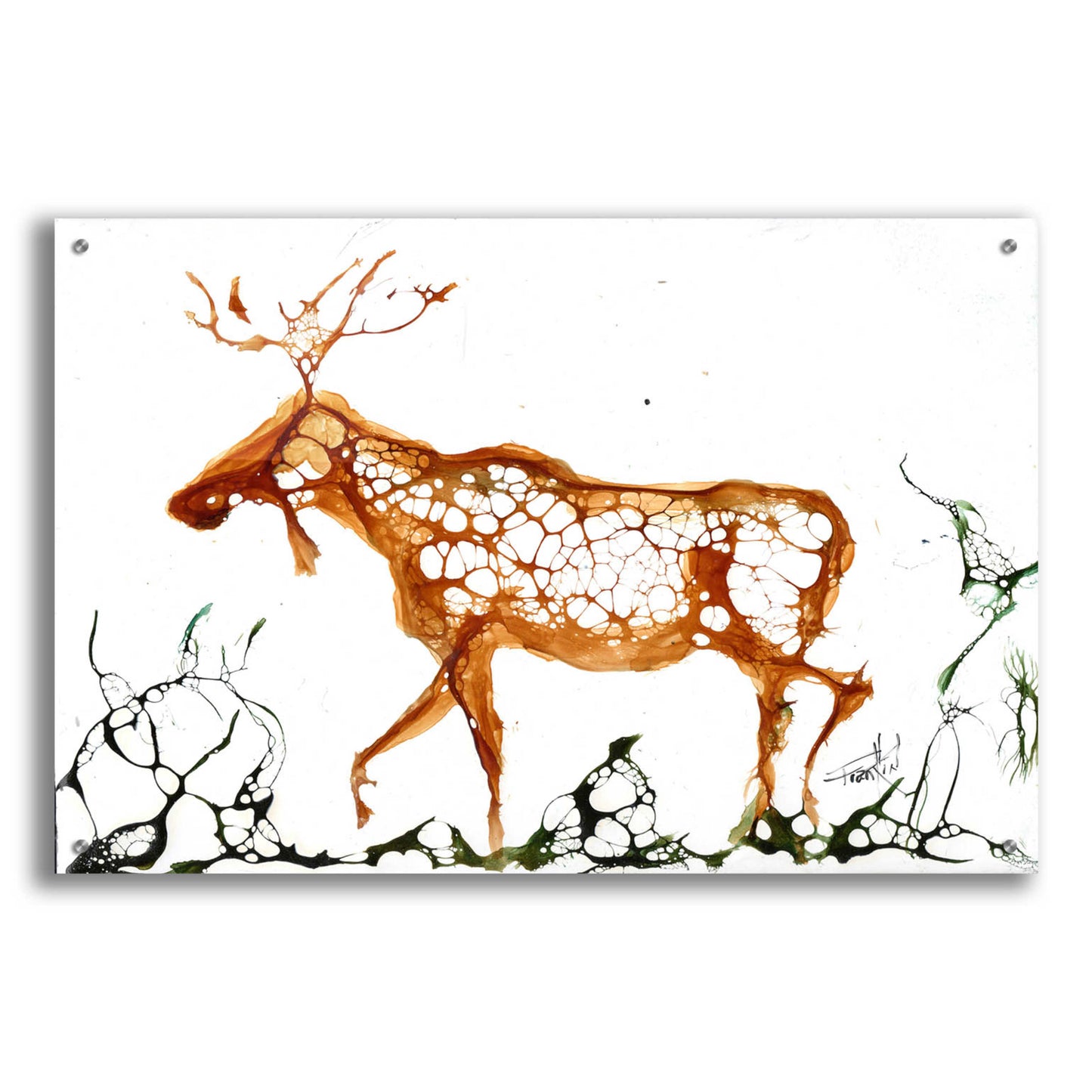 Epic Art 'Cellular Moose' by Leslie Franklin, Acrylic Glass Wall Art,36x24