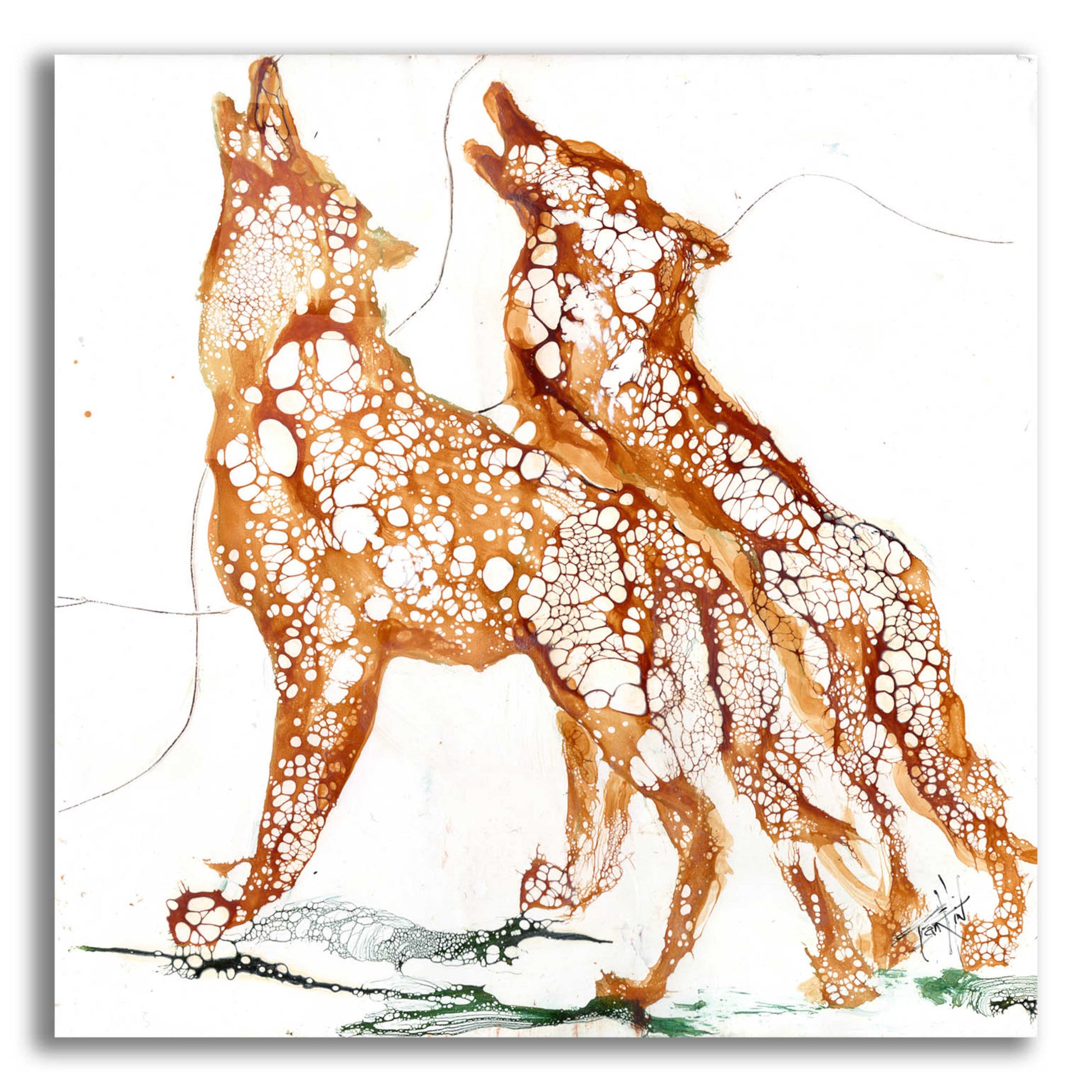 Epic Art 'Cellular Wolves2' by Leslie Franklin, Acrylic Glass Wall Art,12x12