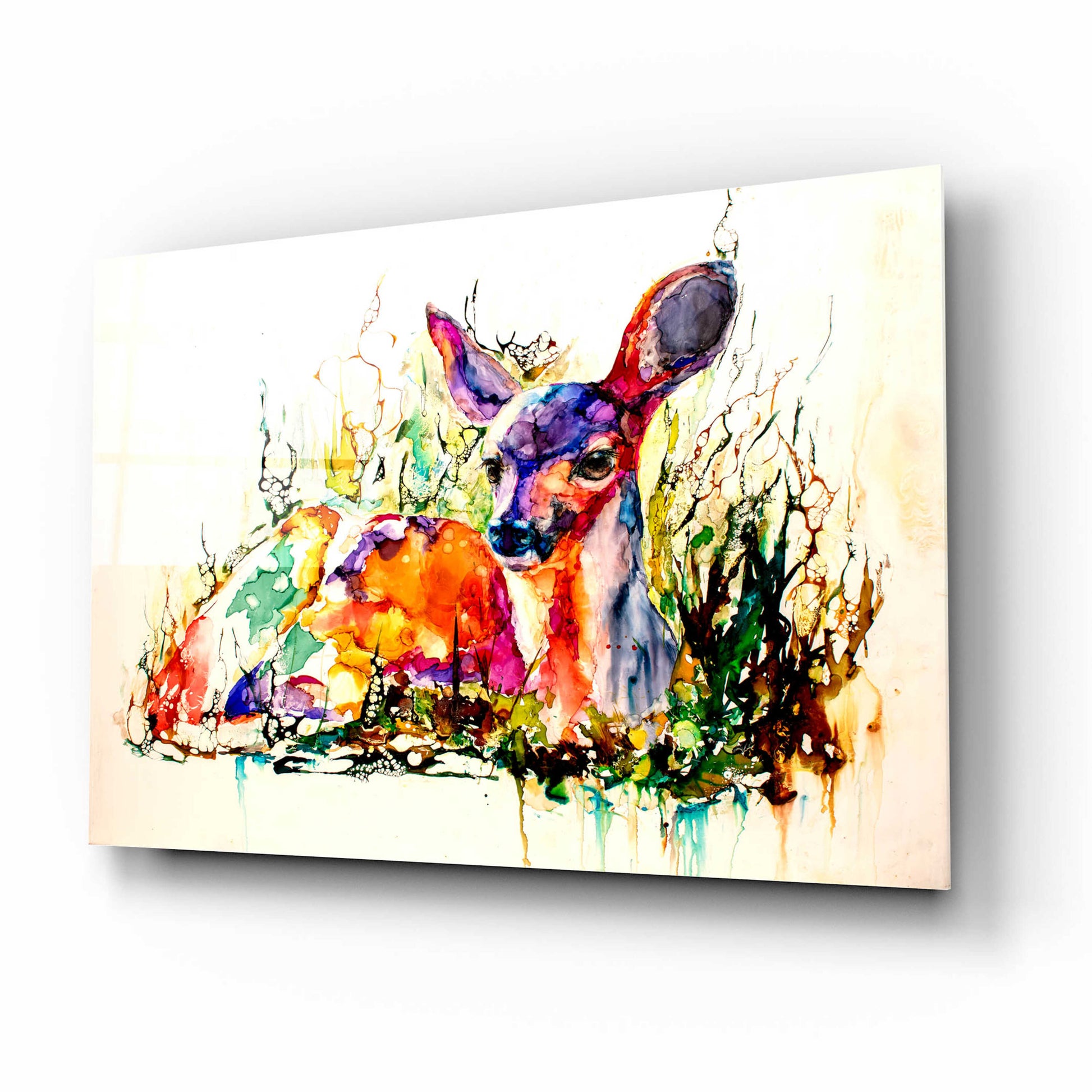 Epic Art 'Flora And Fawna' by Leslie Franklin, Acrylic Glass Wall Art,16x12