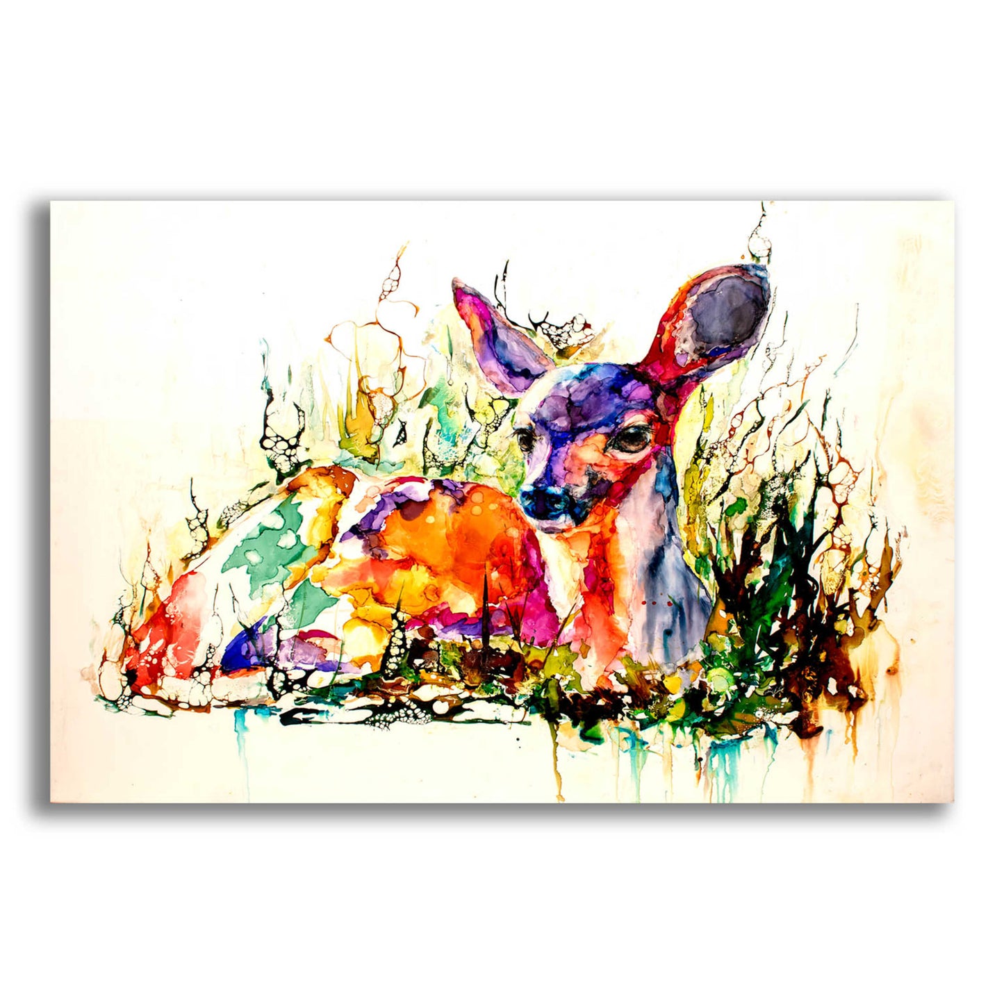 Epic Art 'Flora And Fawna' by Leslie Franklin, Acrylic Glass Wall Art,16x12