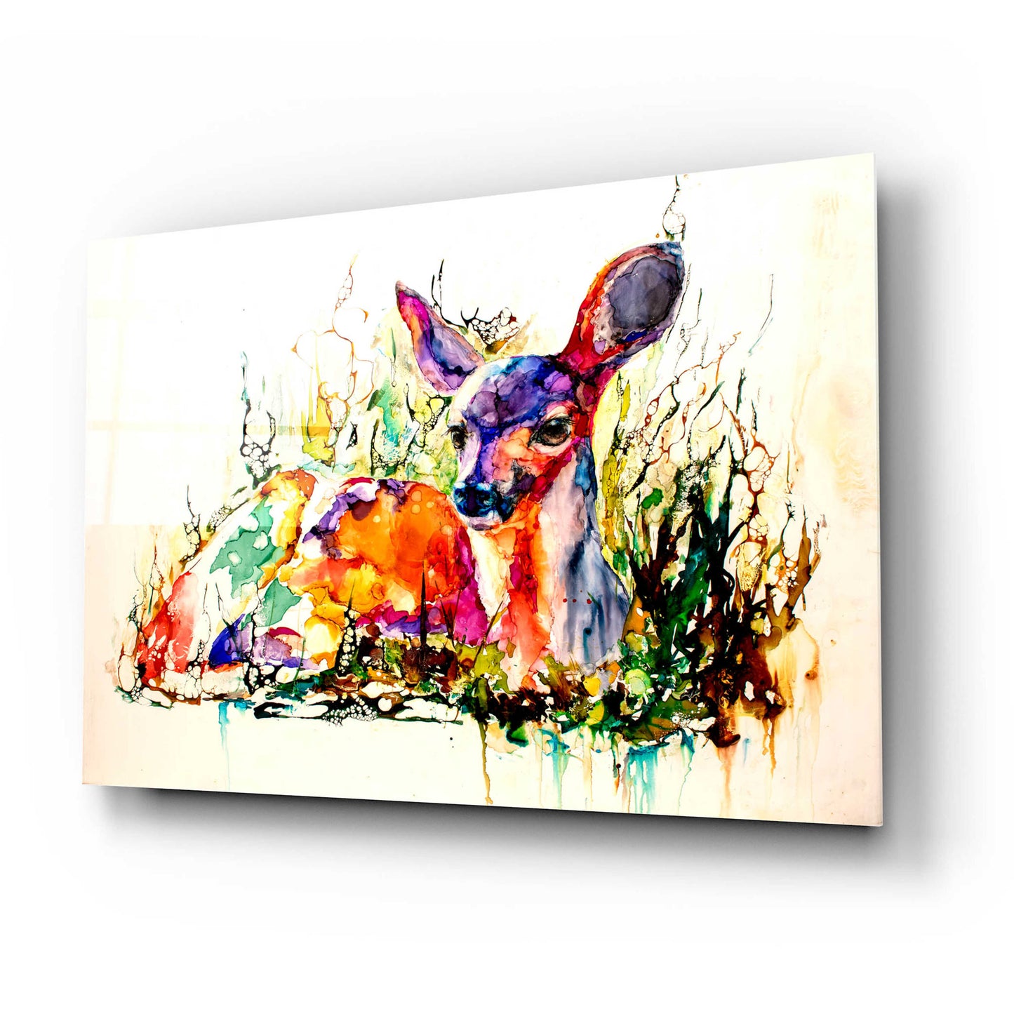 Epic Art 'Flora And Fawna' by Leslie Franklin, Acrylic Glass Wall Art,24x16