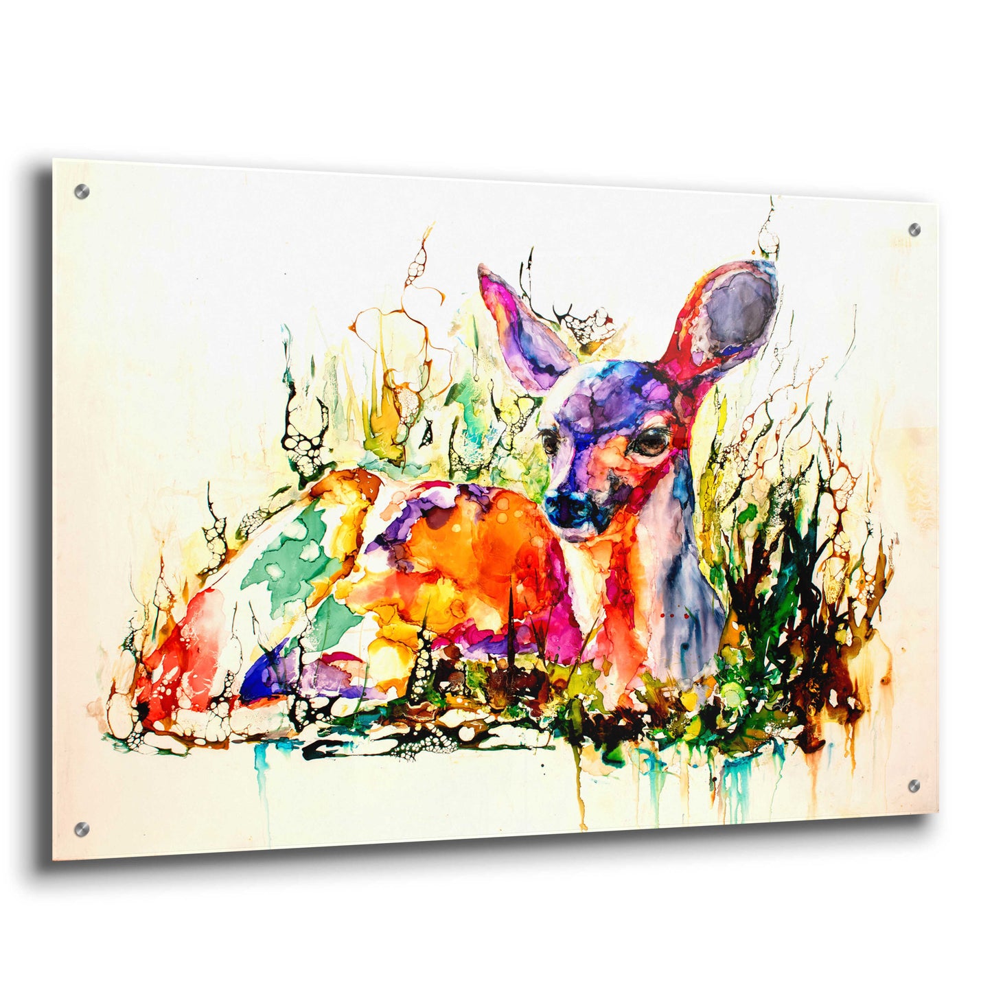 Epic Art 'Flora And Fawna' by Leslie Franklin, Acrylic Glass Wall Art,36x24