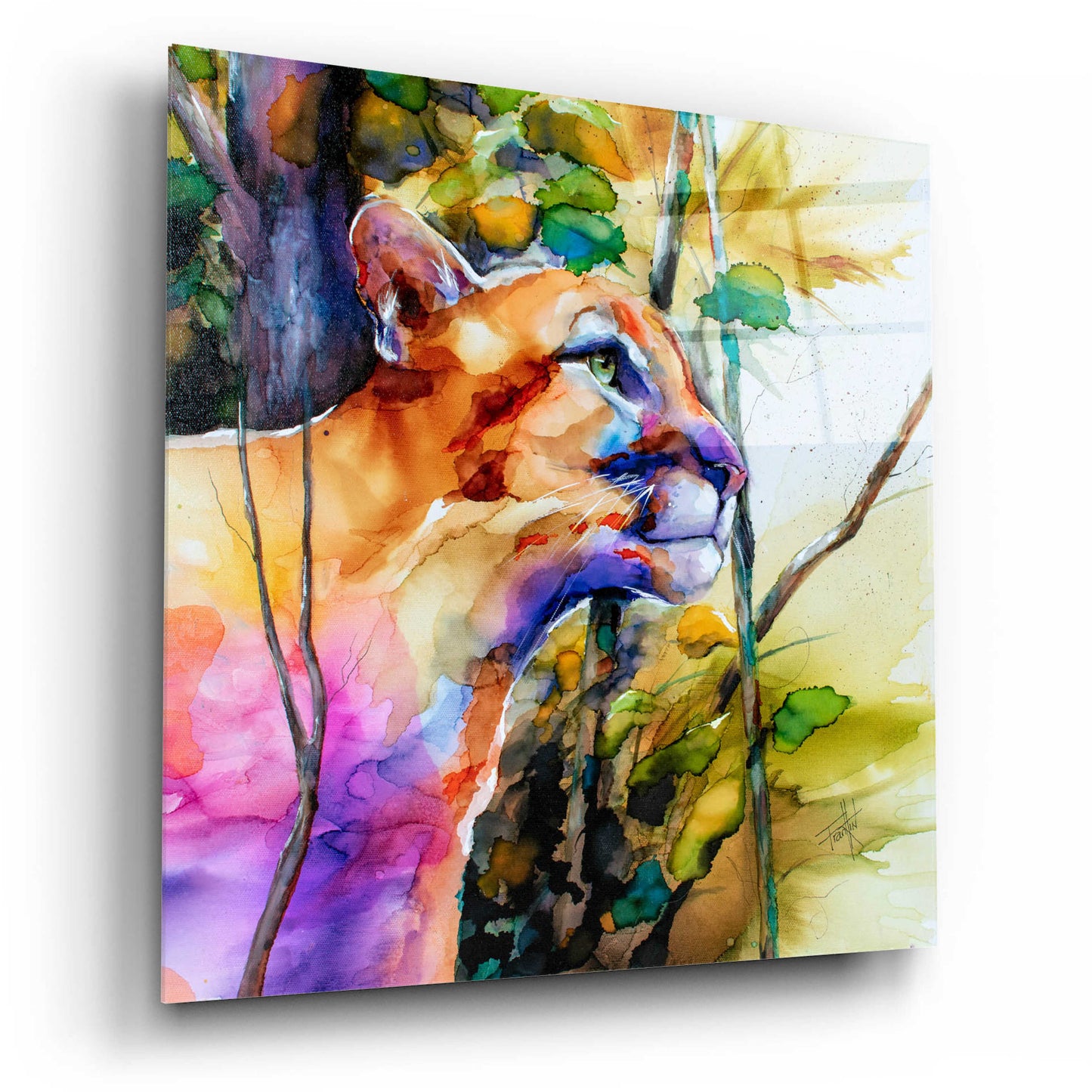 Epic Art 'Puma Concolor' by Leslie Franklin, Acrylic Glass Wall Art,12x12