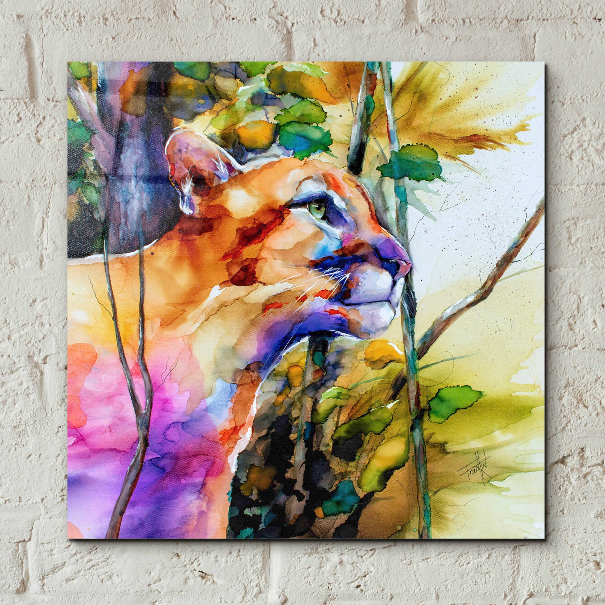 Epic Art 'Puma Concolor' by Leslie Franklin, Acrylic Glass Wall Art,12x12