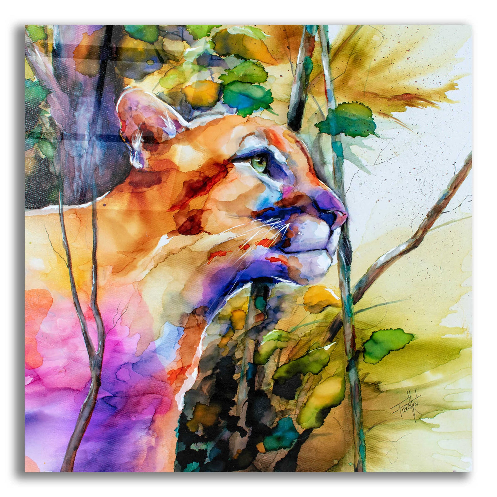 Epic Art 'Puma Concolor' by Leslie Franklin, Acrylic Glass Wall Art,12x12