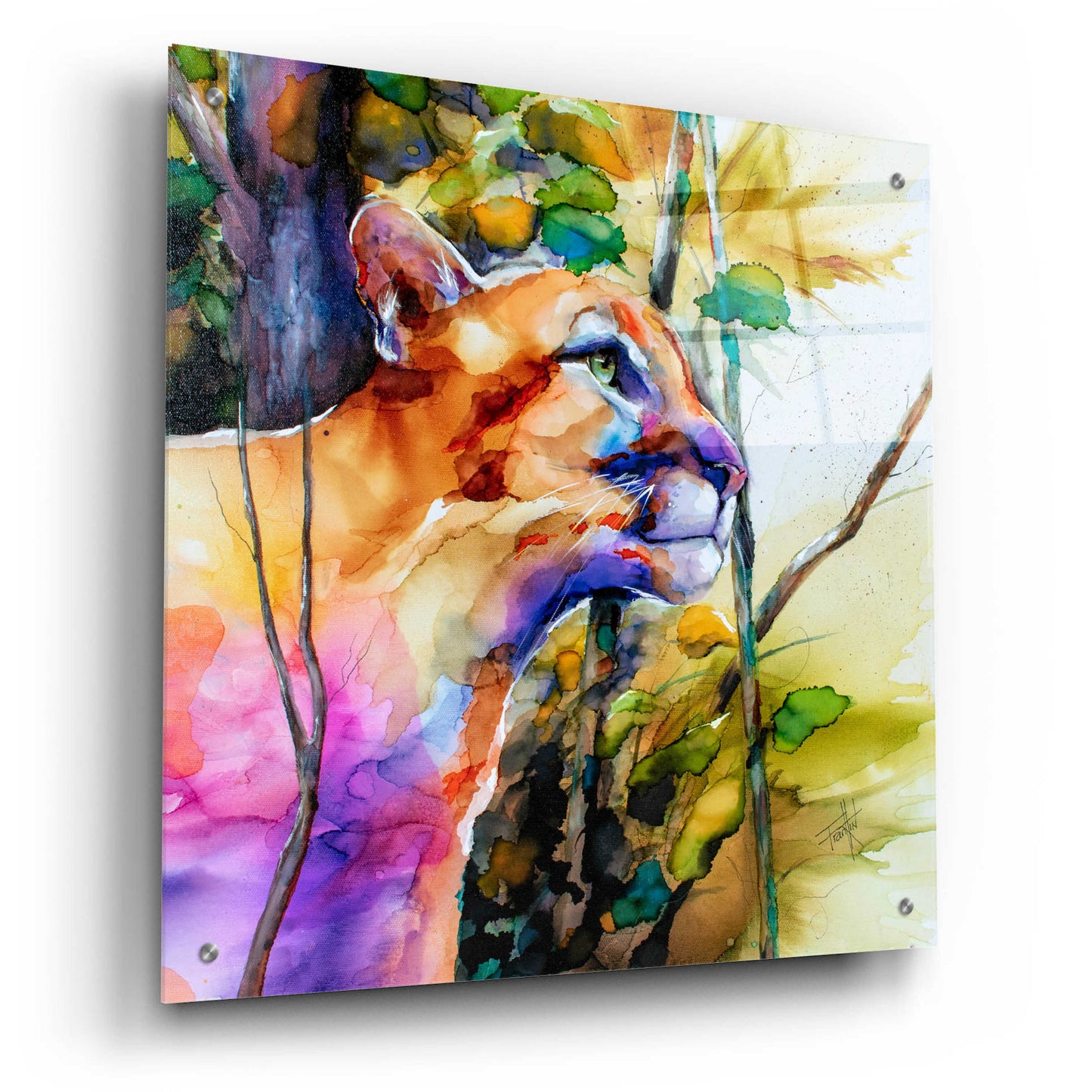 Epic Art 'Puma Concolor' by Leslie Franklin, Acrylic Glass Wall Art,24x24