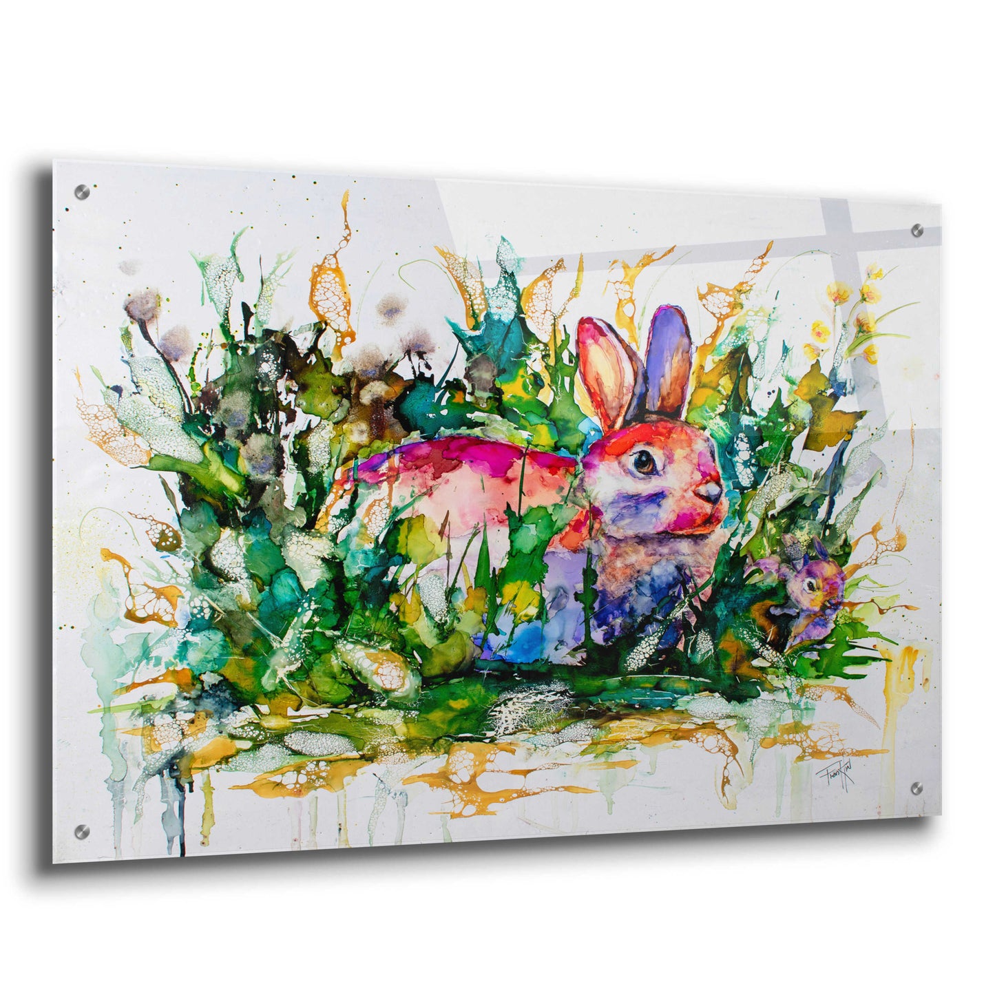 Epic Art 'Some Bunny's Hiding' by Leslie Franklin, Acrylic Glass Wall Art,36x24