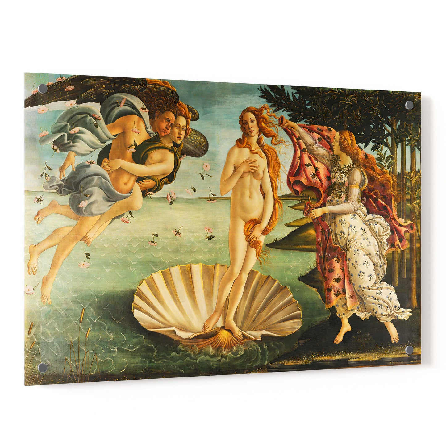 Epic Art 'The Birth of Venus' by Sandro Botticelli, Acrylic Glass Wall Art,36x24