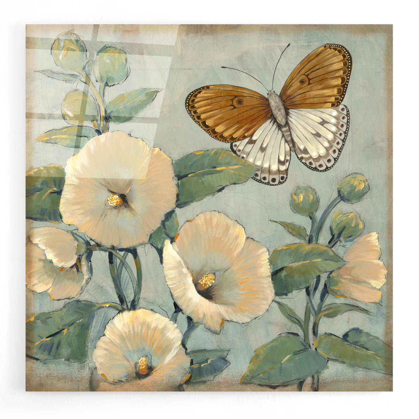 Epic Art 'Butterfly & Hollyhocks I' by Tim O'Toole, Acrylic Glass Wall Art,24x24