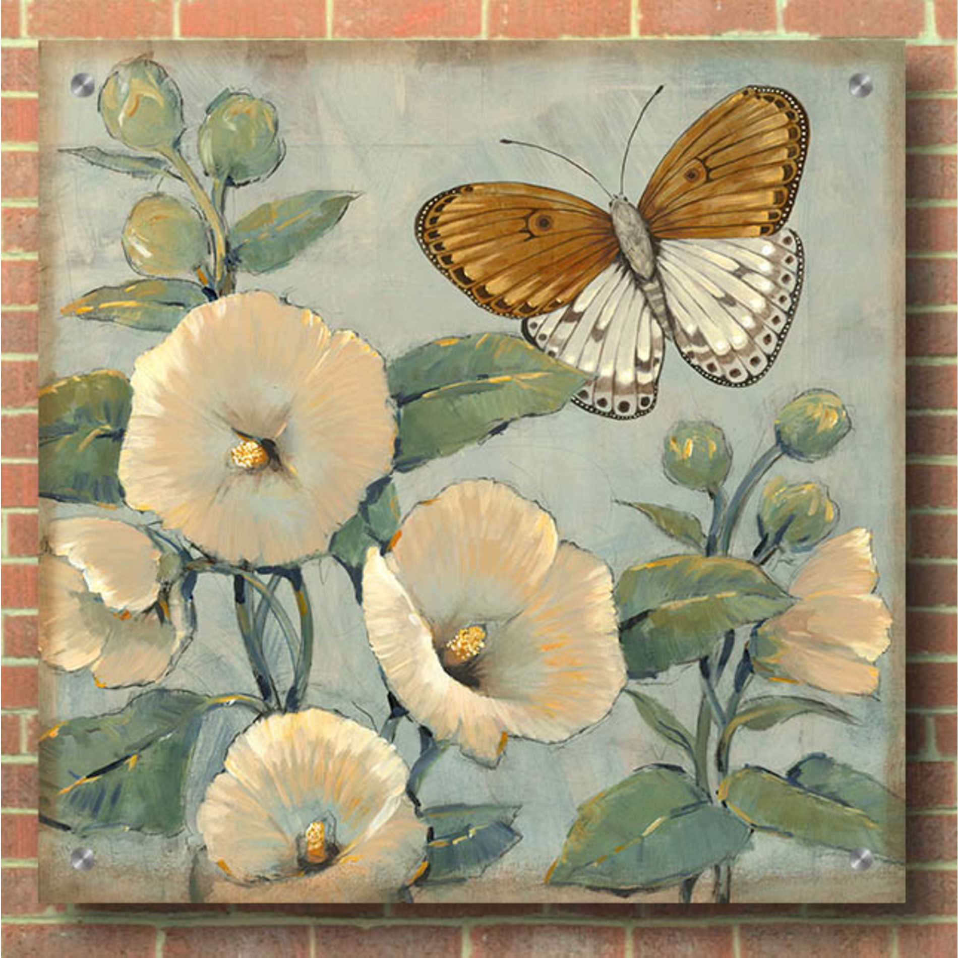 Epic Art 'Butterfly & Hollyhocks I' by Tim O'Toole, Acrylic Glass Wall Art,36x36