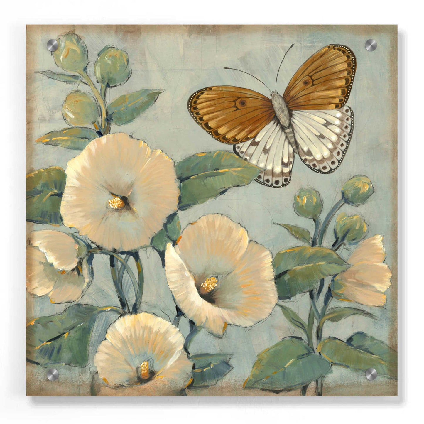 Epic Art 'Butterfly & Hollyhocks I' by Tim O'Toole, Acrylic Glass Wall Art,36x36