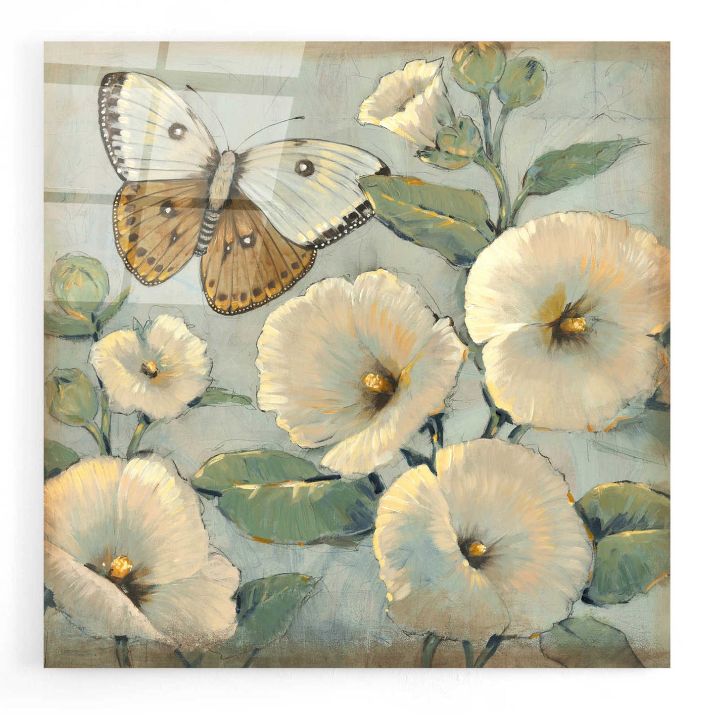 Epic Art 'Butterfly & Hollyhocks II' by Tim O'Toole, Acrylic Glass Wall Art,24x24
