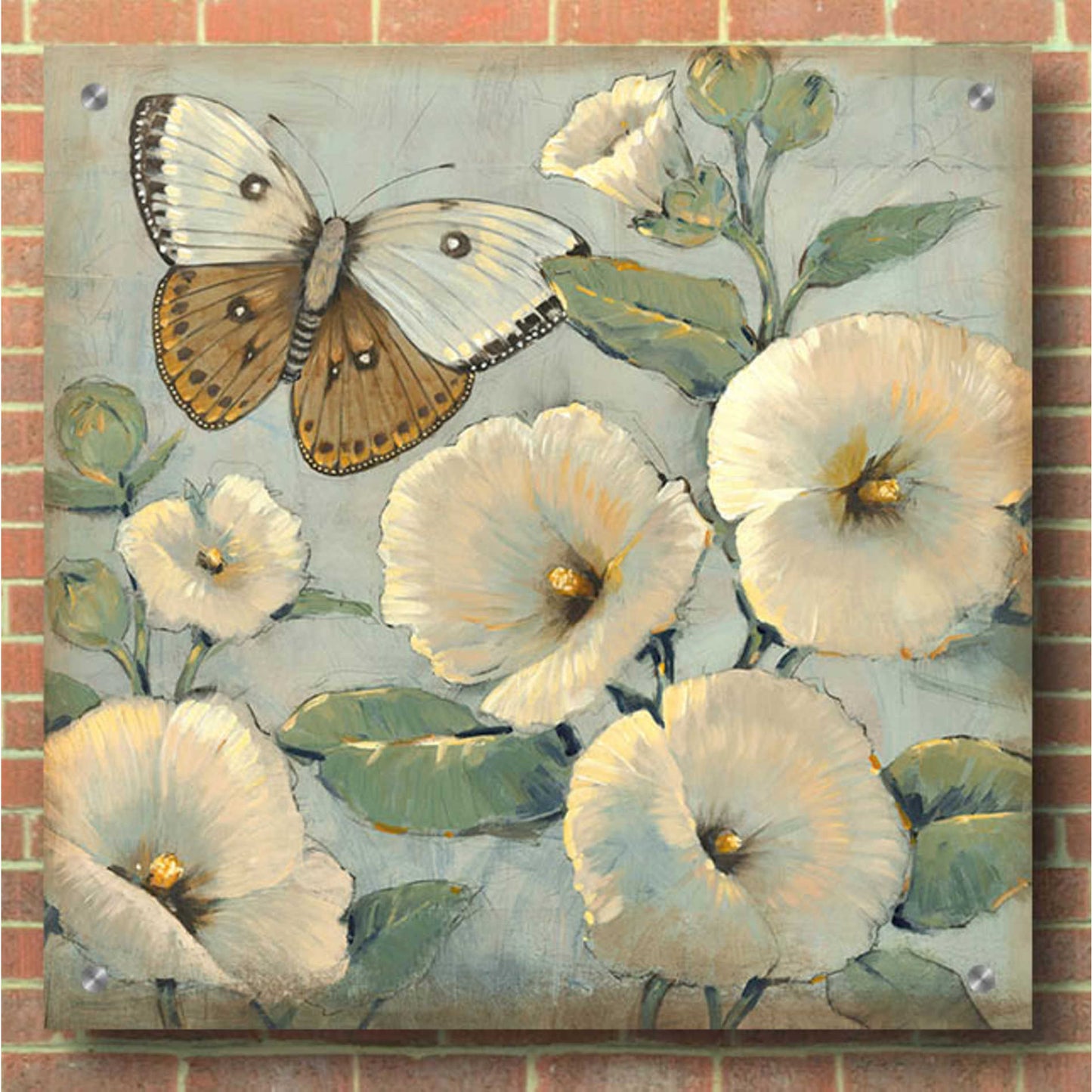 Epic Art 'Butterfly & Hollyhocks II' by Tim O'Toole, Acrylic Glass Wall Art,36x36