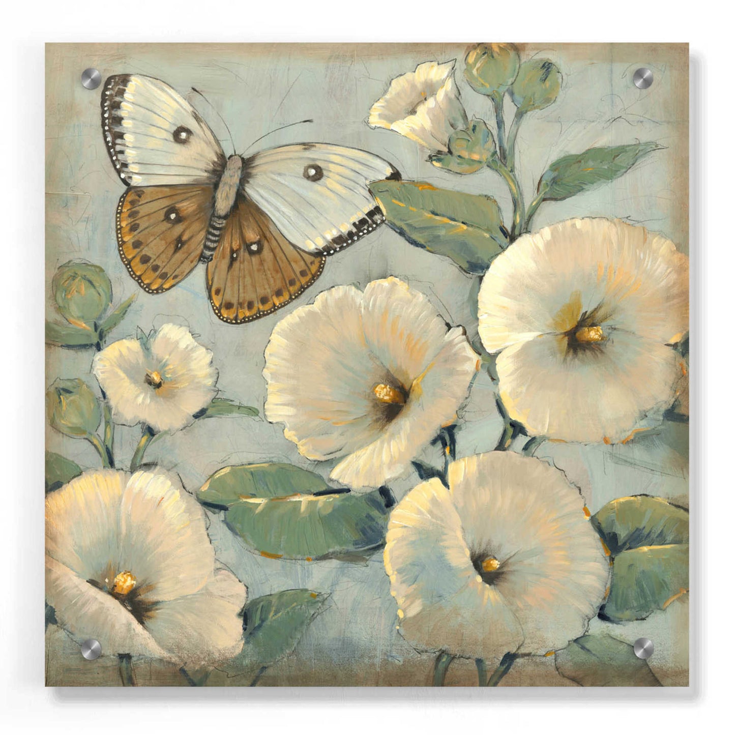 Epic Art 'Butterfly & Hollyhocks II' by Tim O'Toole, Acrylic Glass Wall Art,36x36