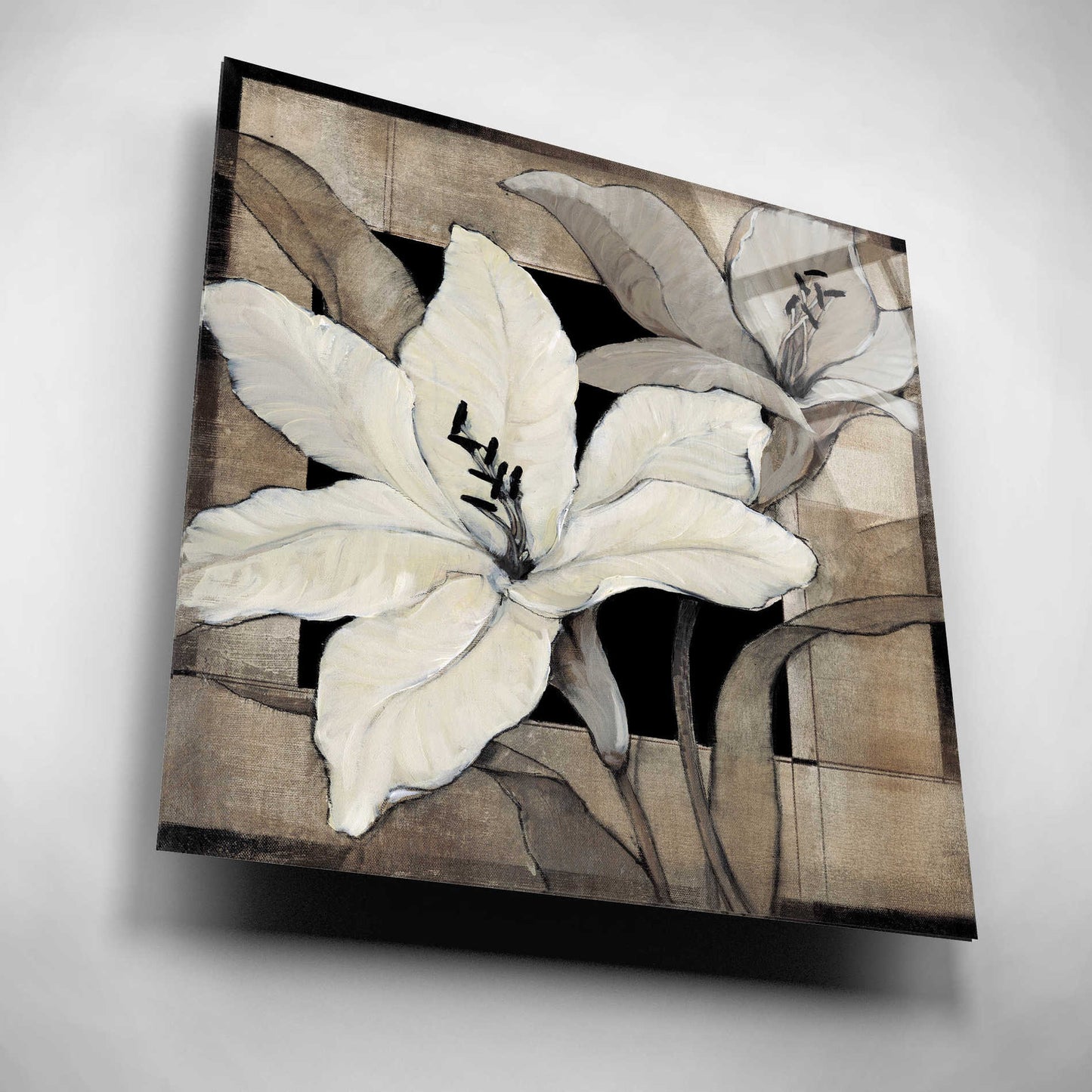 Epic Art 'Dramatic Lily Grid I' by Tim O'Toole, Acrylic Glass Wall Art,12x12