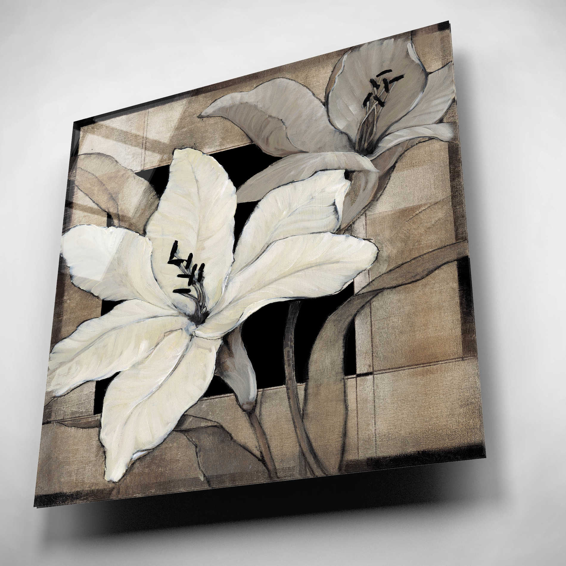 Epic Art 'Dramatic Lily Grid I' by Tim O'Toole, Acrylic Glass Wall Art,12x12