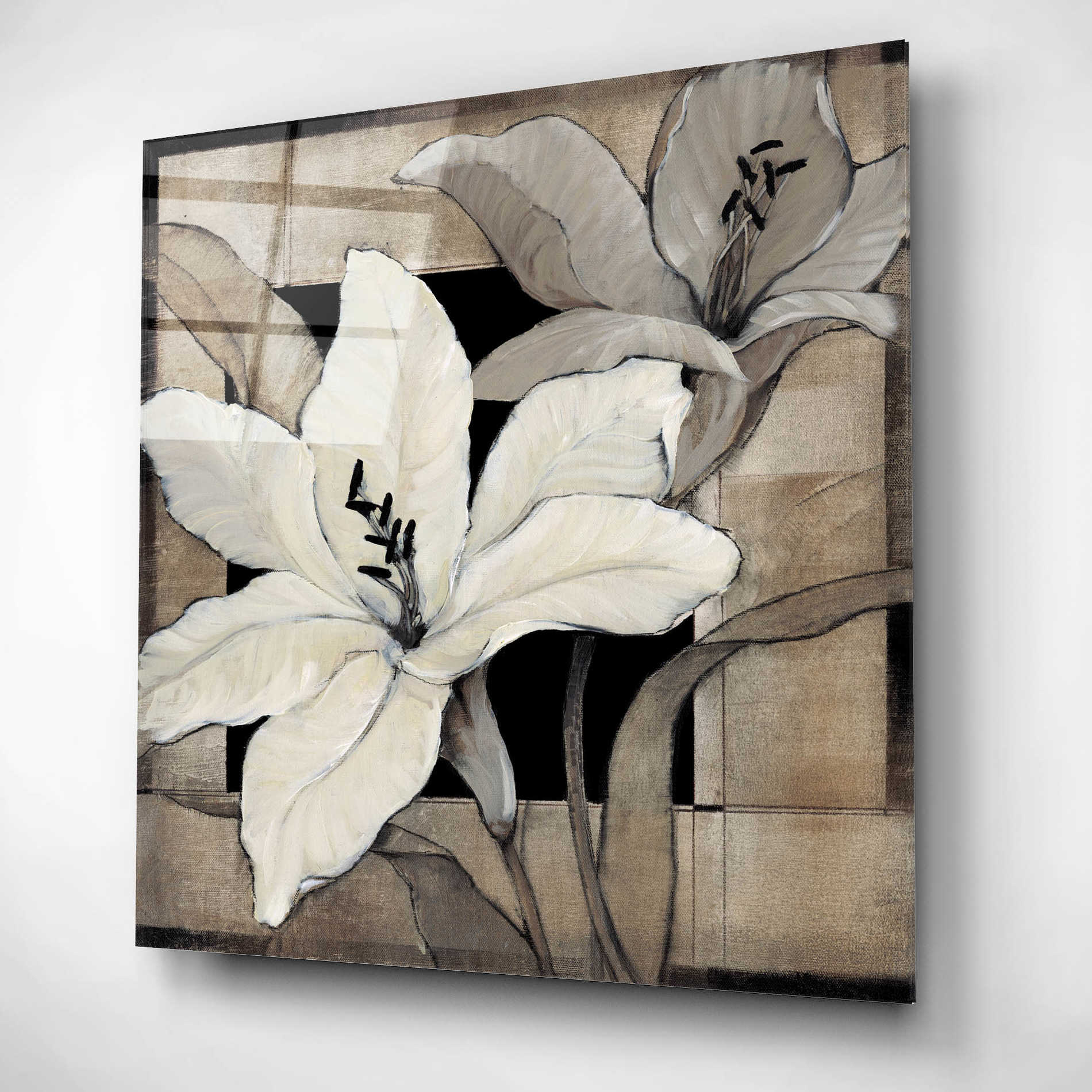 Epic Art 'Dramatic Lily Grid I' by Tim O'Toole, Acrylic Glass Wall Art,12x12