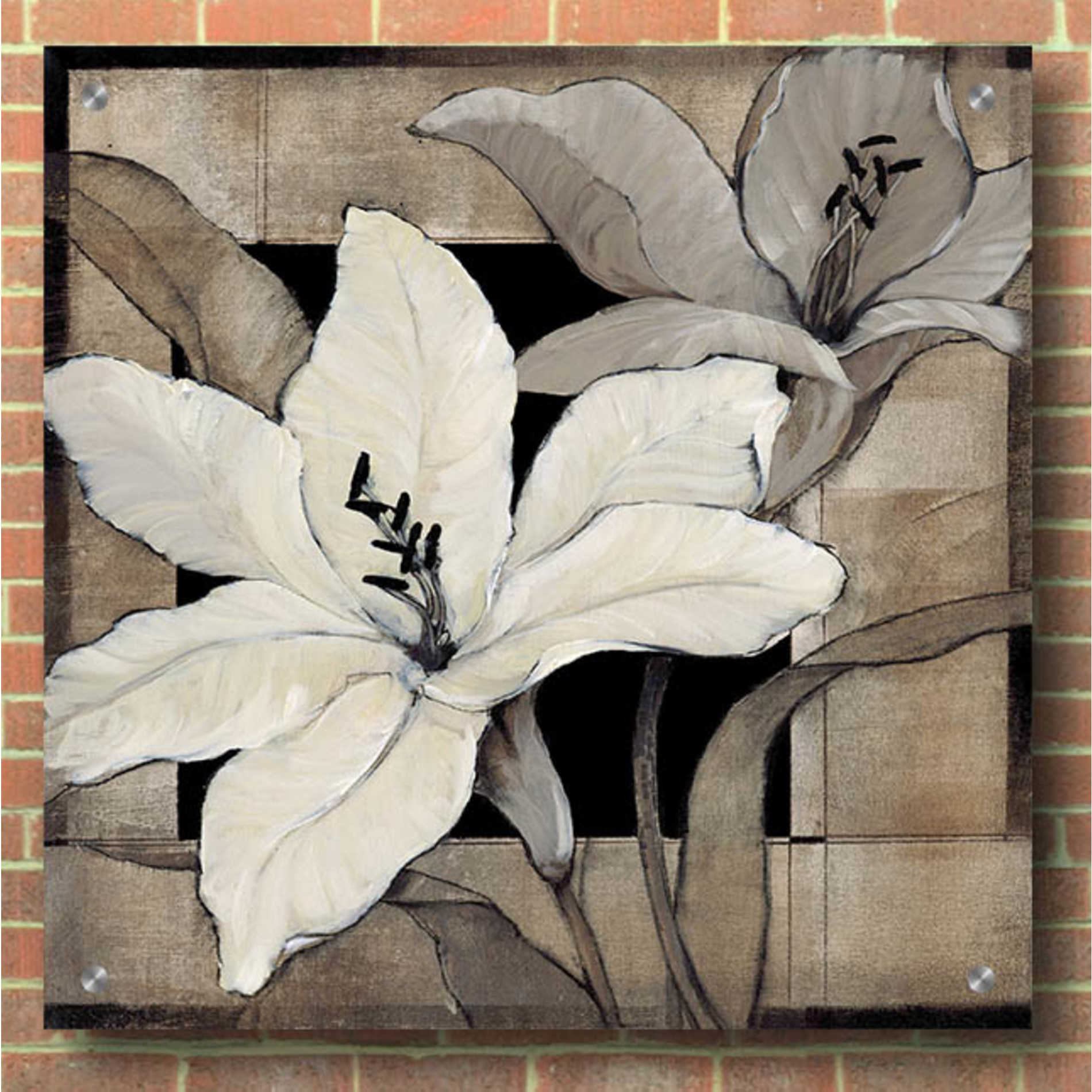 Epic Art 'Dramatic Lily Grid I' by Tim O'Toole, Acrylic Glass Wall Art,36x36