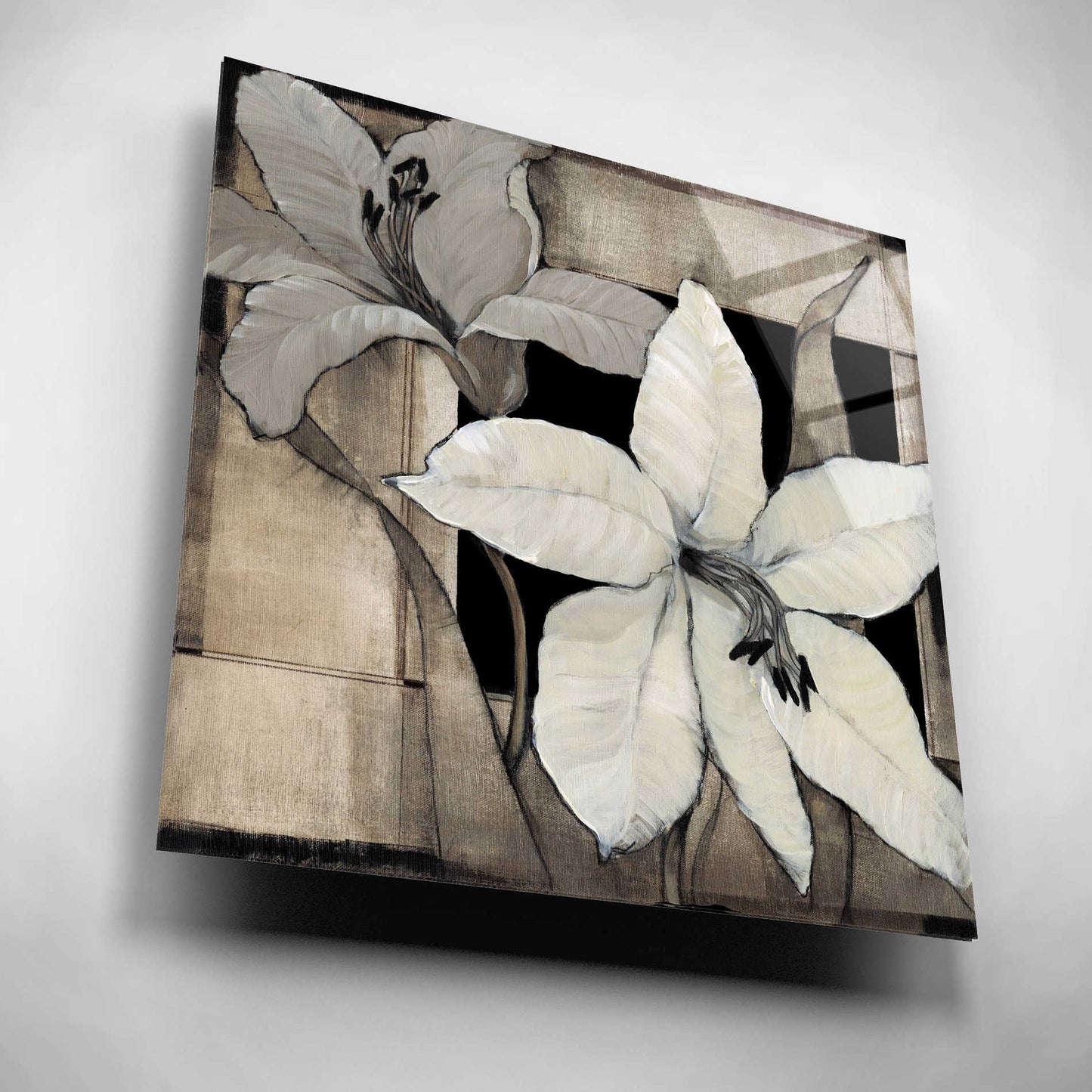 Epic Art 'Dramatic Lily Grid II' by Tim O'Toole, Acrylic Glass Wall Art,12x12