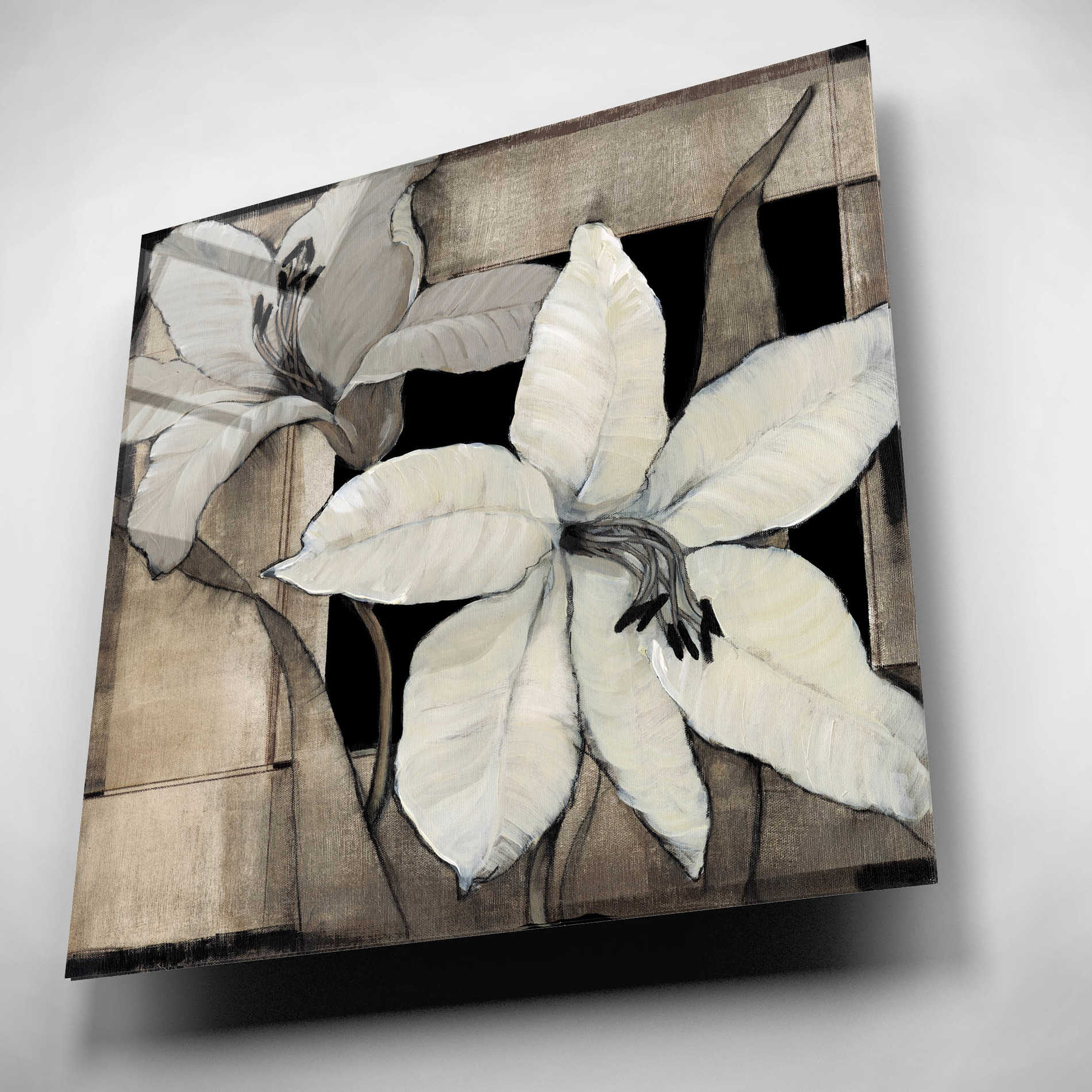 Epic Art 'Dramatic Lily Grid II' by Tim O'Toole, Acrylic Glass Wall Art,12x12