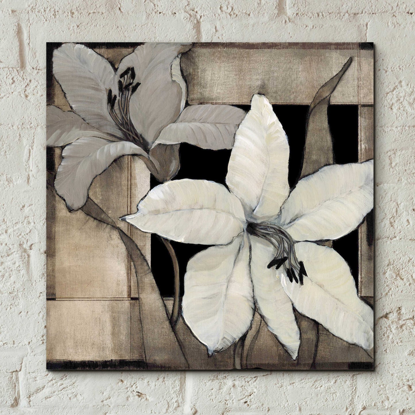 Epic Art 'Dramatic Lily Grid II' by Tim O'Toole, Acrylic Glass Wall Art,12x12