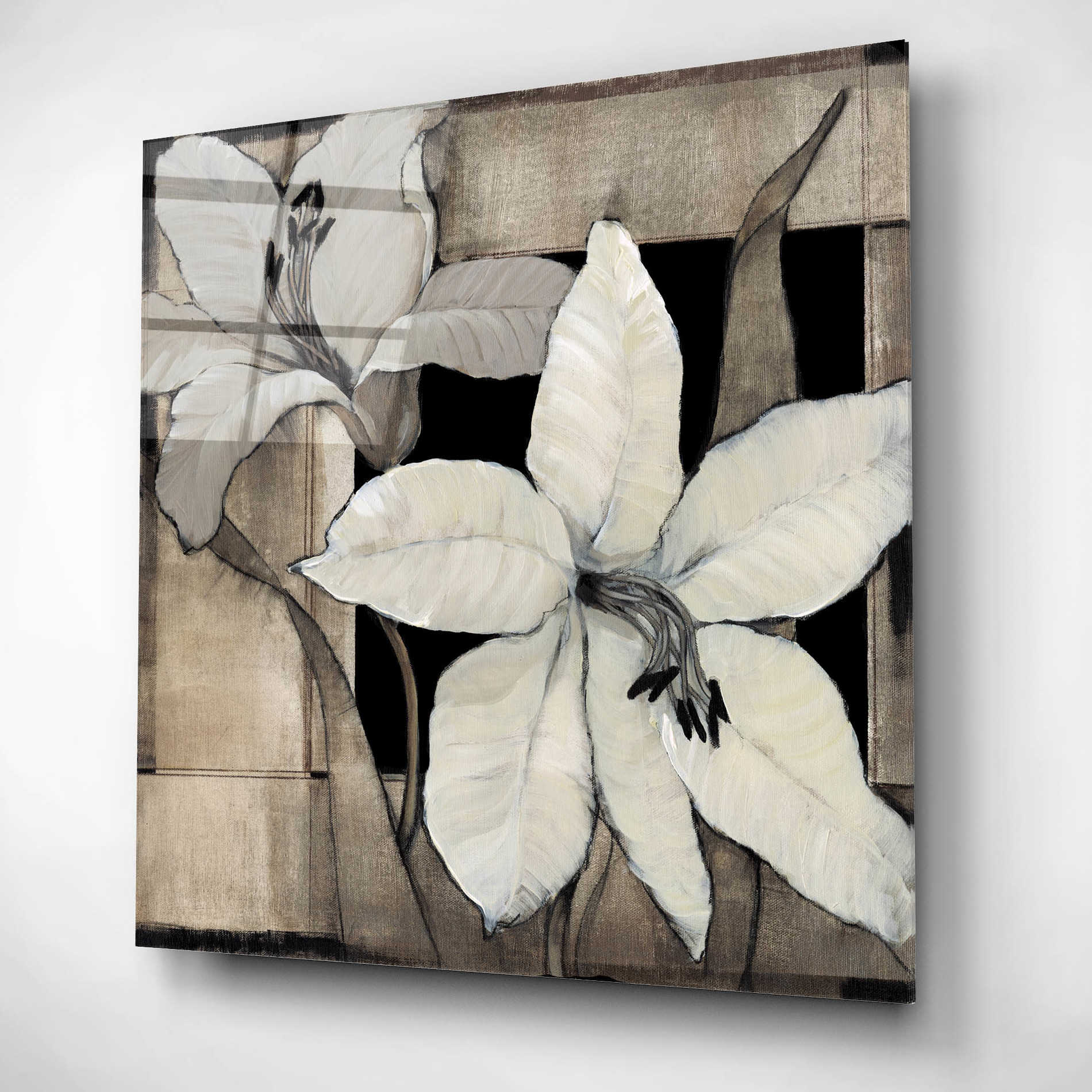 Epic Art 'Dramatic Lily Grid II' by Tim O'Toole, Acrylic Glass Wall Art,12x12