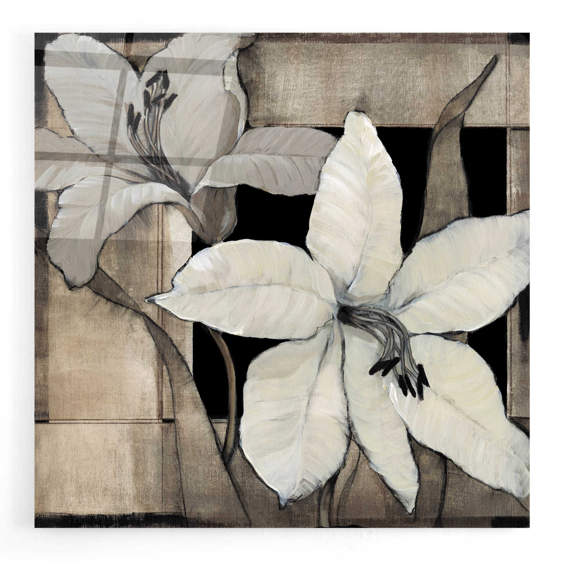 Epic Art 'Dramatic Lily Grid II' by Tim O'Toole, Acrylic Glass Wall Art,24x24