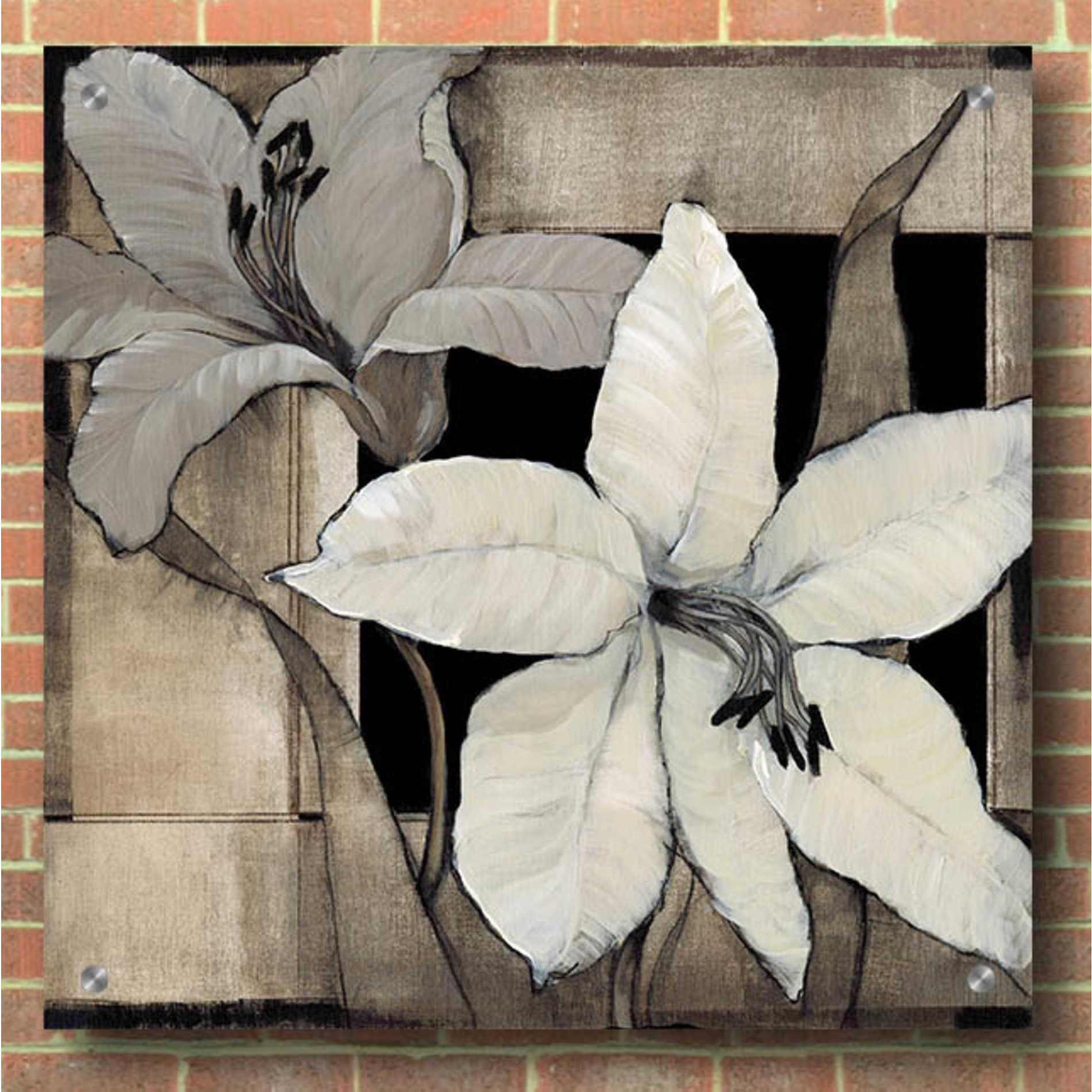 Epic Art 'Dramatic Lily Grid II' by Tim O'Toole, Acrylic Glass Wall Art,36x36