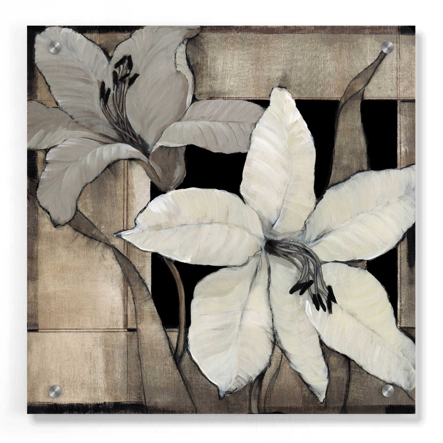 Epic Art 'Dramatic Lily Grid II' by Tim O'Toole, Acrylic Glass Wall Art,36x36