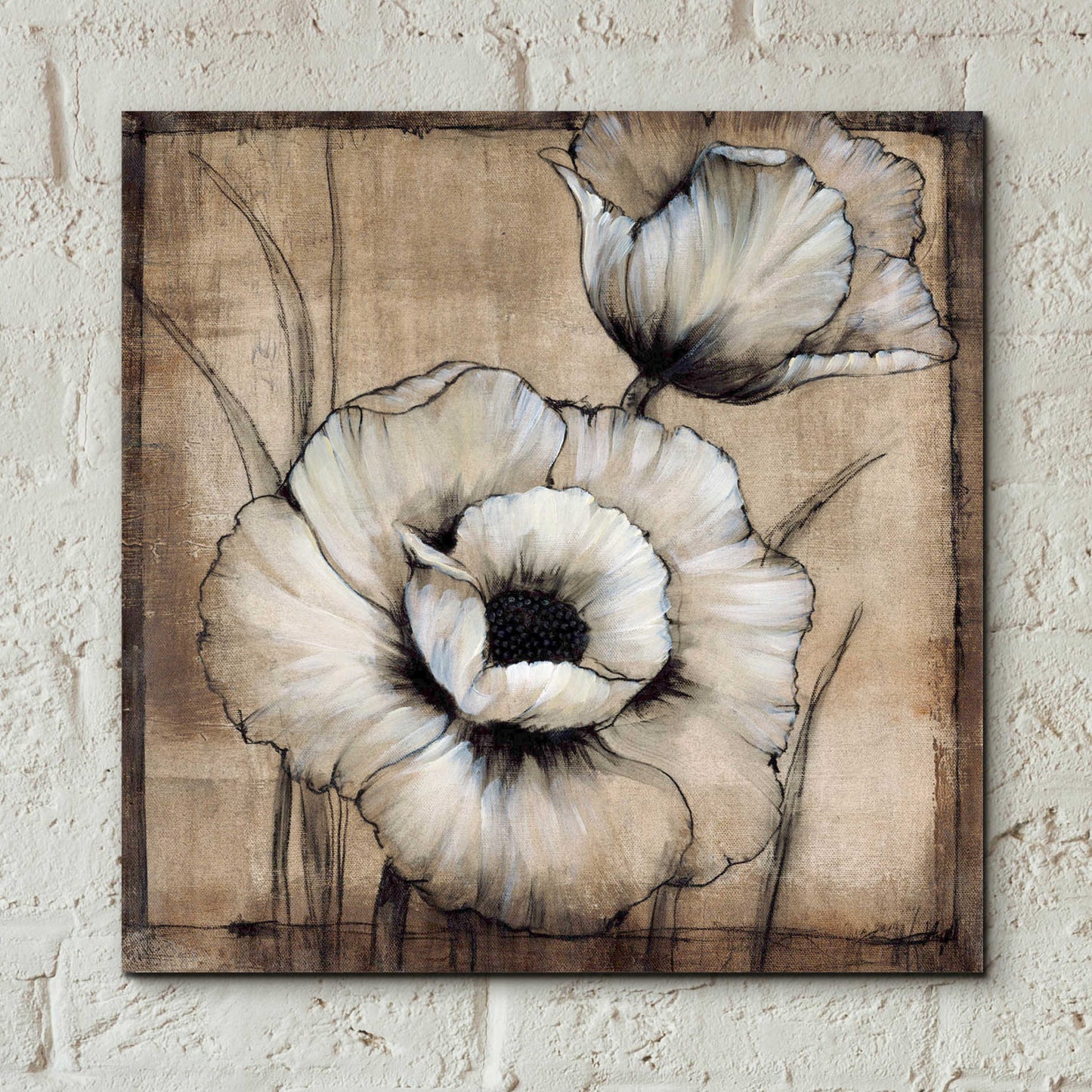 Epic Art 'Neutral Poppies I' by Tim O'Toole, Acrylic Glass Wall Art,12x12