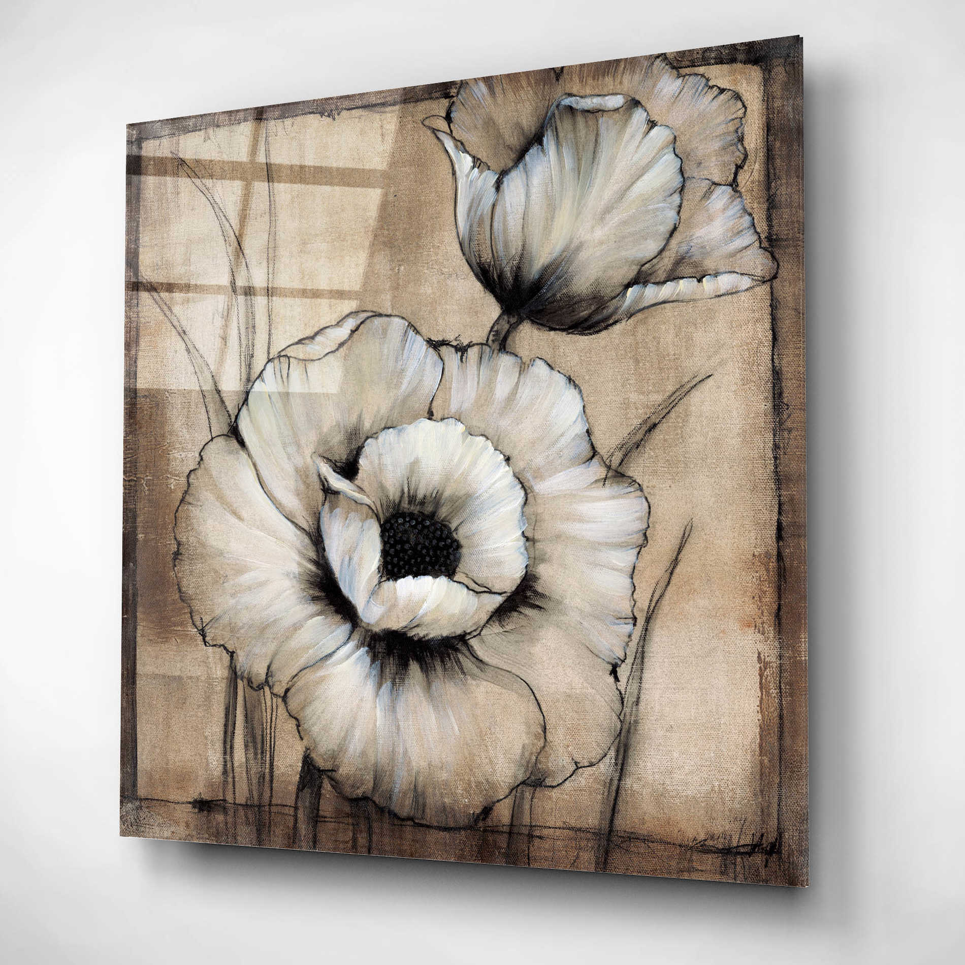 Epic Art 'Neutral Poppies I' by Tim O'Toole, Acrylic Glass Wall Art,12x12