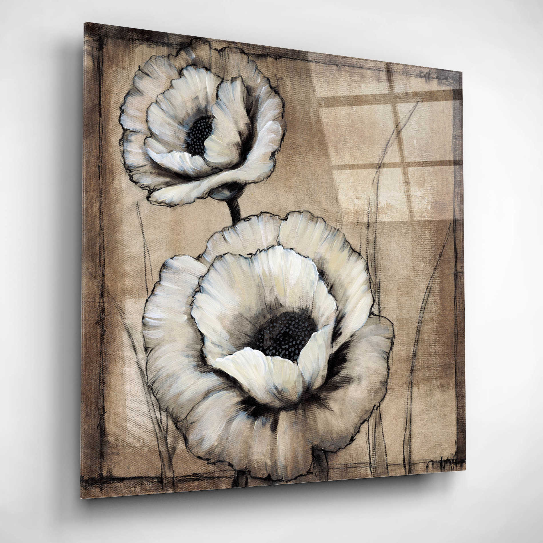 Epic Art 'Neutral Poppies II' by Tim O'Toole, Acrylic Glass Wall Art,12x12