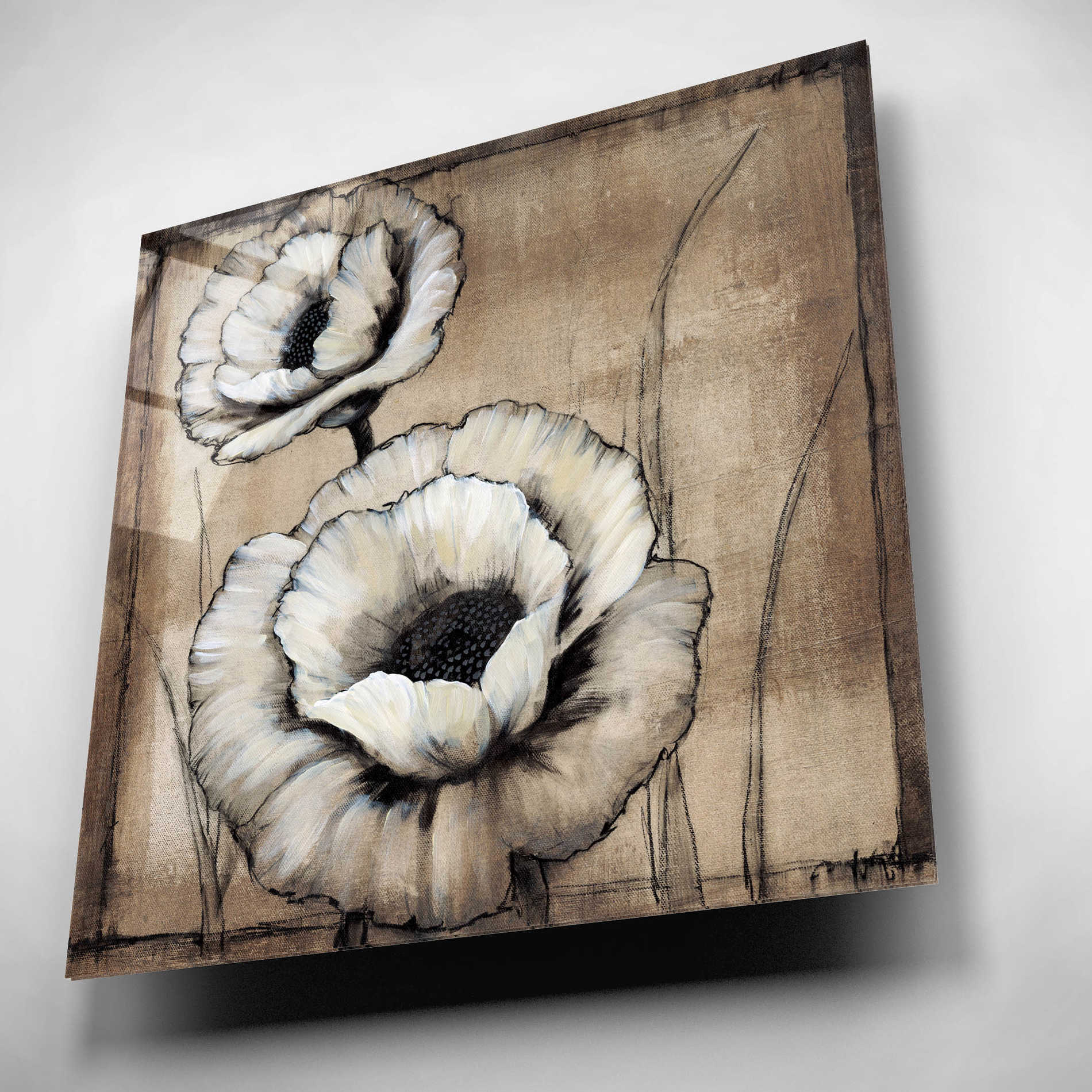 Epic Art 'Neutral Poppies II' by Tim O'Toole, Acrylic Glass Wall Art,12x12