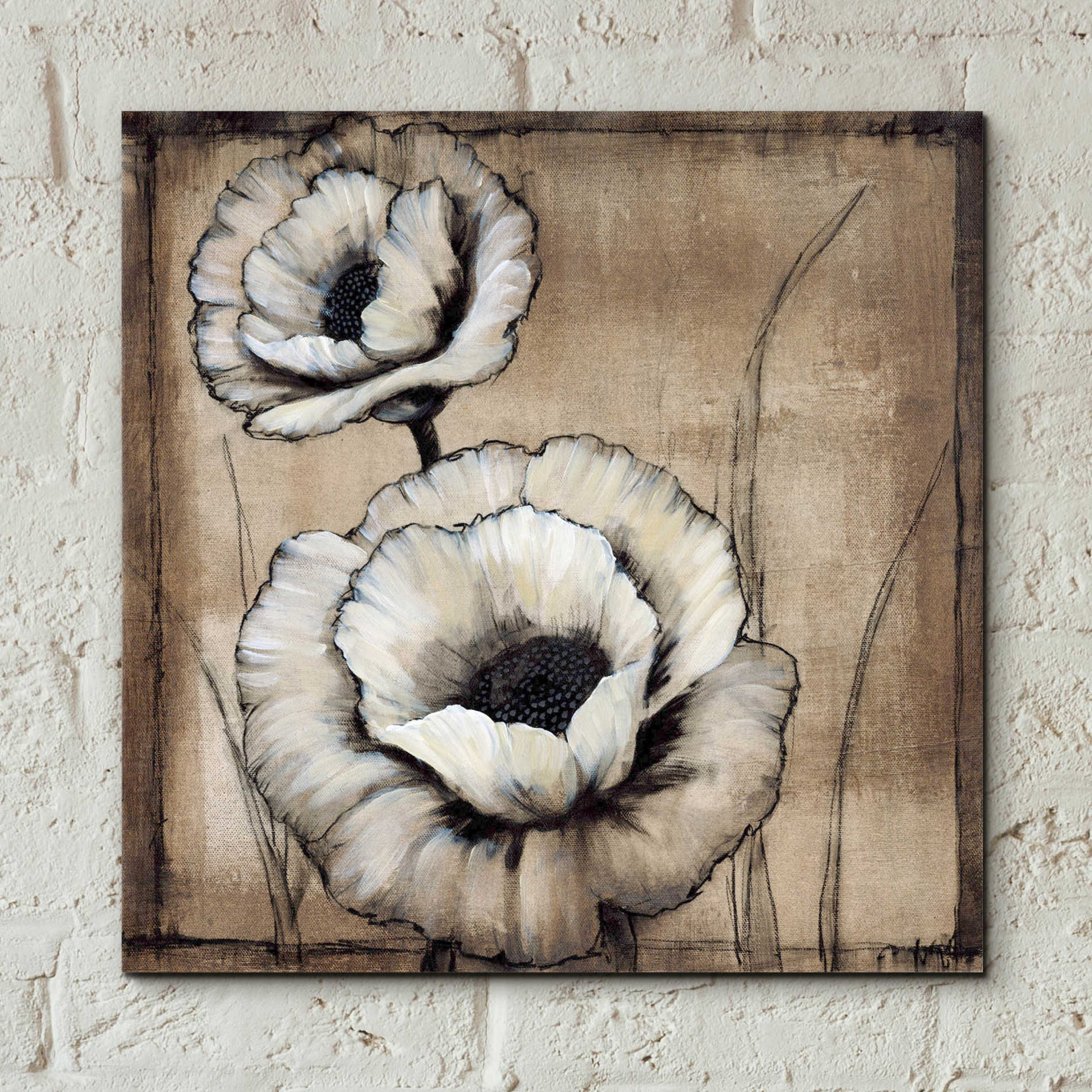 Epic Art 'Neutral Poppies II' by Tim O'Toole, Acrylic Glass Wall Art,12x12