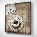 Epic Art 'Neutral Poppies II' by Tim O'Toole, Acrylic Glass Wall Art
