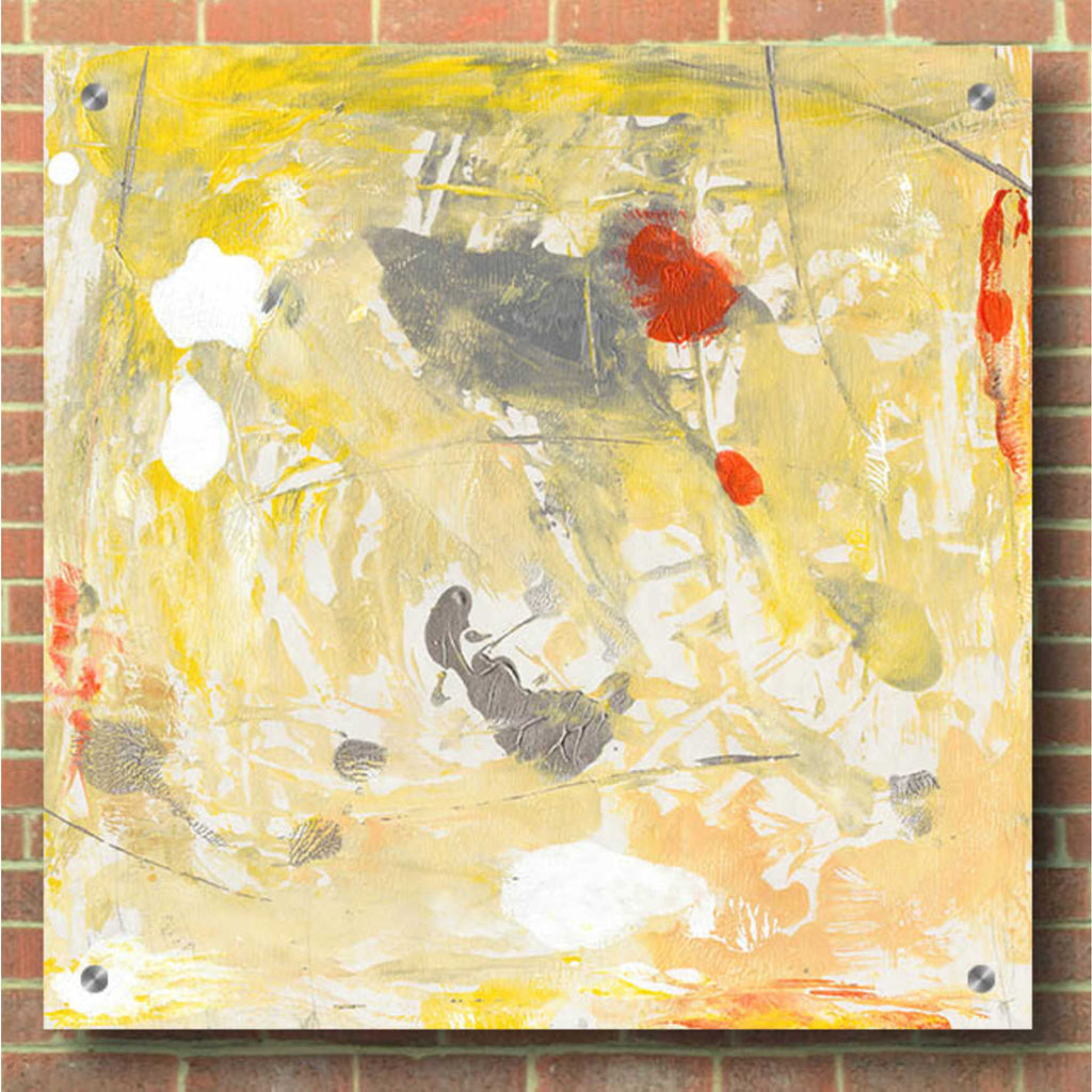 Epic Art 'Lemon Jostle I' by Tim O'Toole, Acrylic Glass Wall Art,36x36