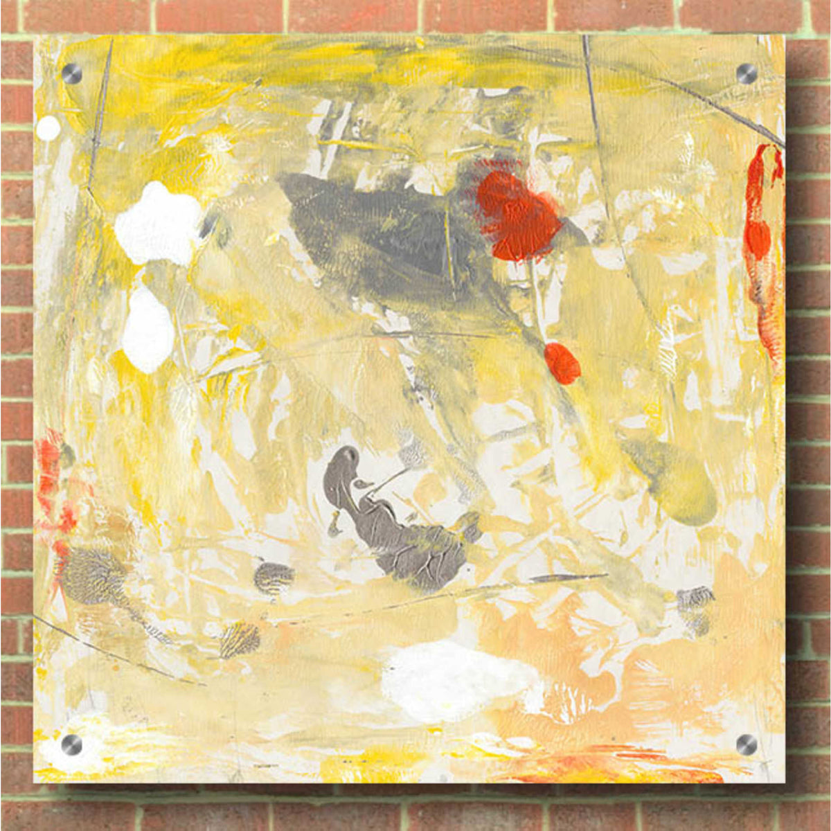Epic Art 'Lemon Jostle I' by Tim O'Toole, Acrylic Glass Wall Art,36x36