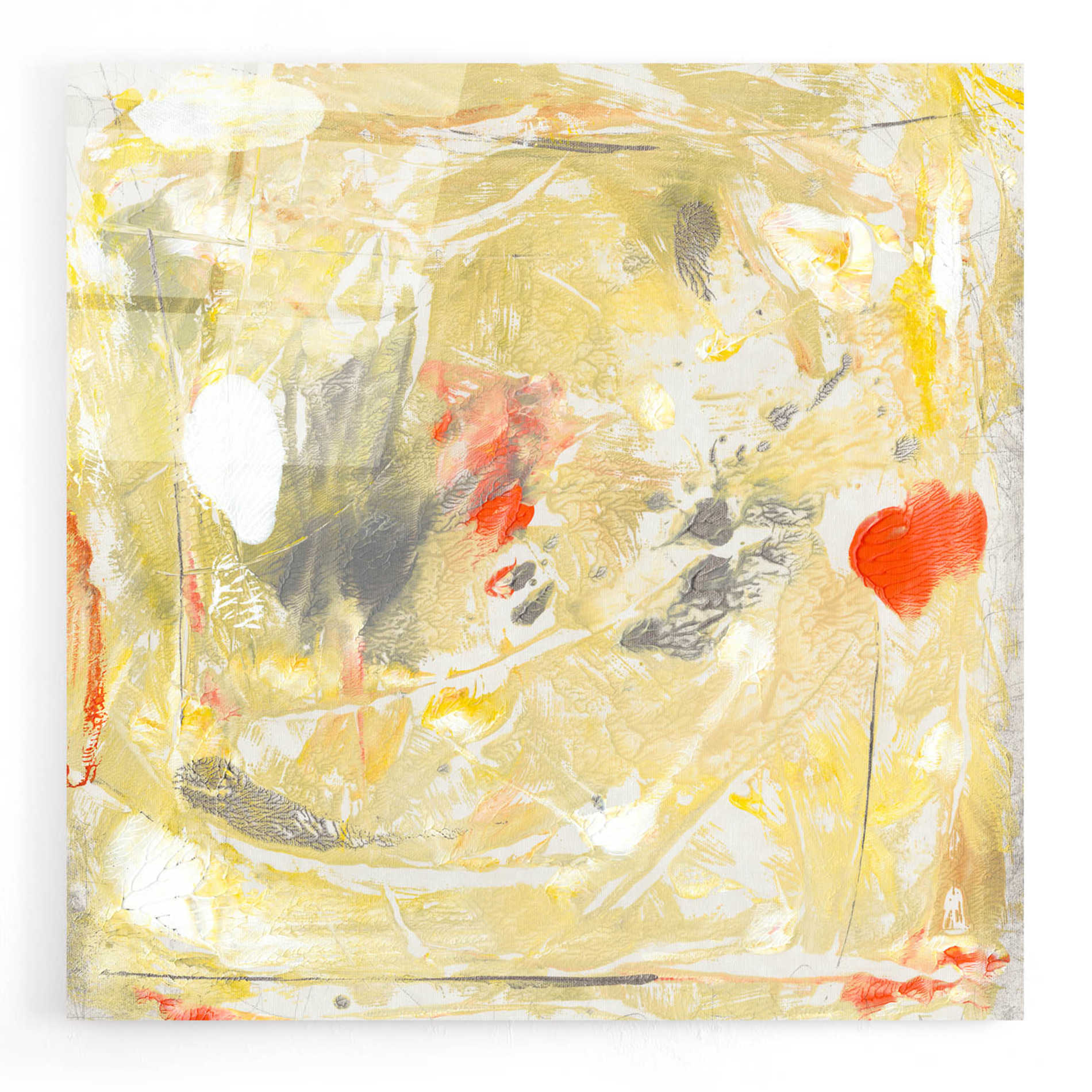 Epic Art 'Lemon Jostle II' by Tim O'Toole, Acrylic Glass Wall Art,24x24