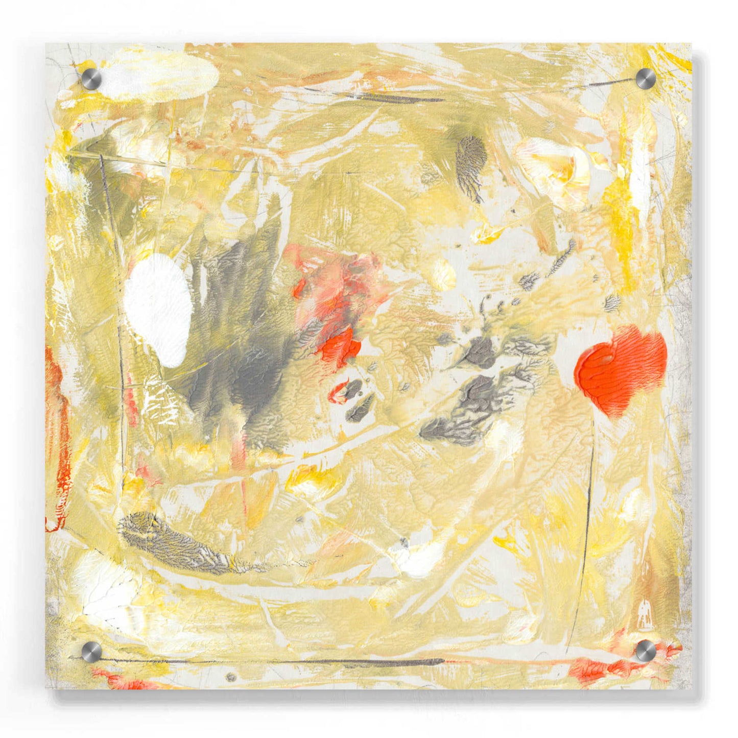 Epic Art 'Lemon Jostle II' by Tim O'Toole, Acrylic Glass Wall Art,36x36