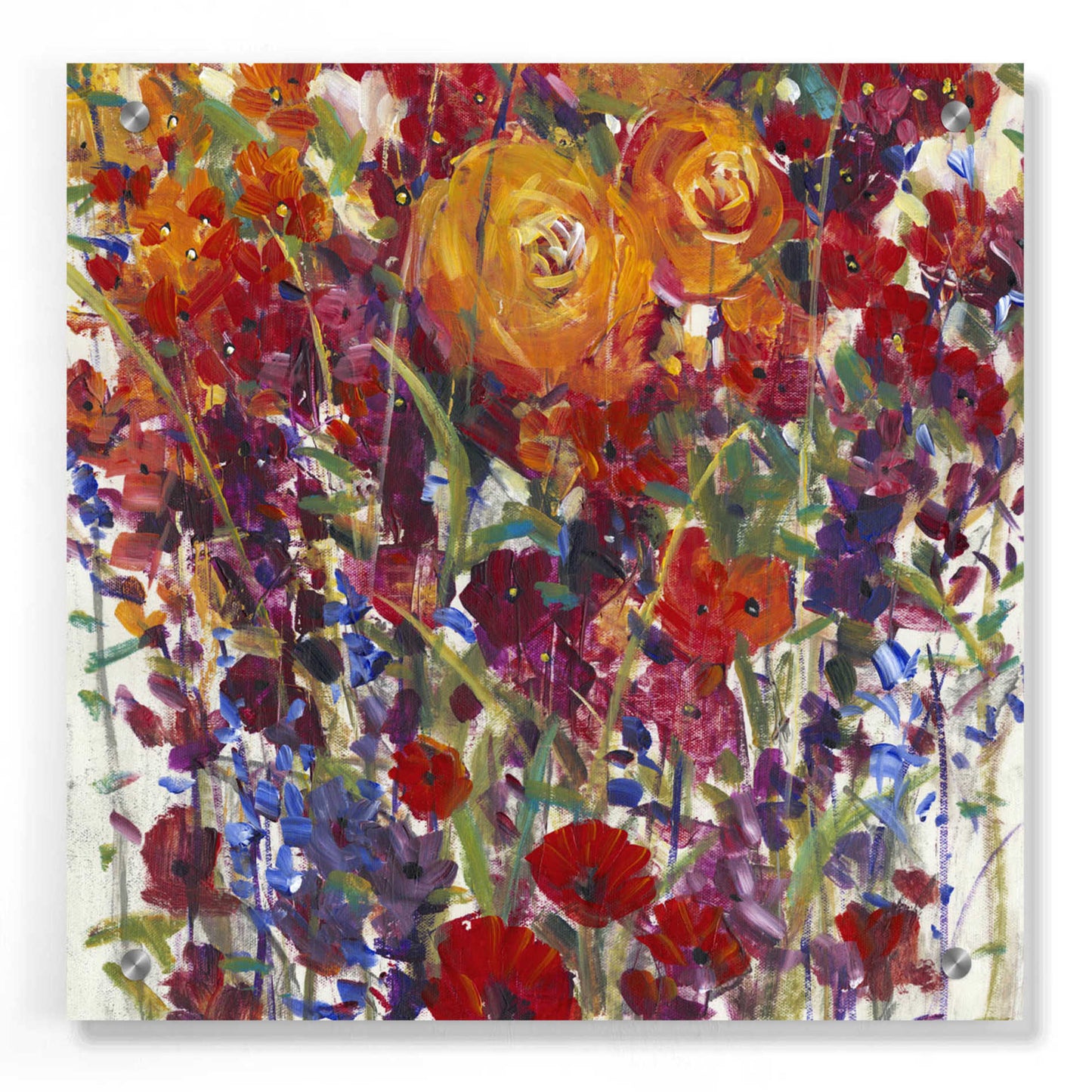 Epic Art 'Mixed Bouquet III' by Tim O'Toole, Acrylic Glass Wall Art,36x36