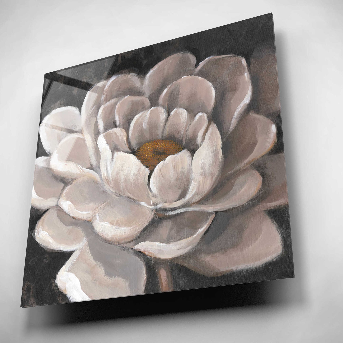 Epic Art 'Neutral Fleur I' by Tim O'Toole, Acrylic Glass Wall Art,12x12