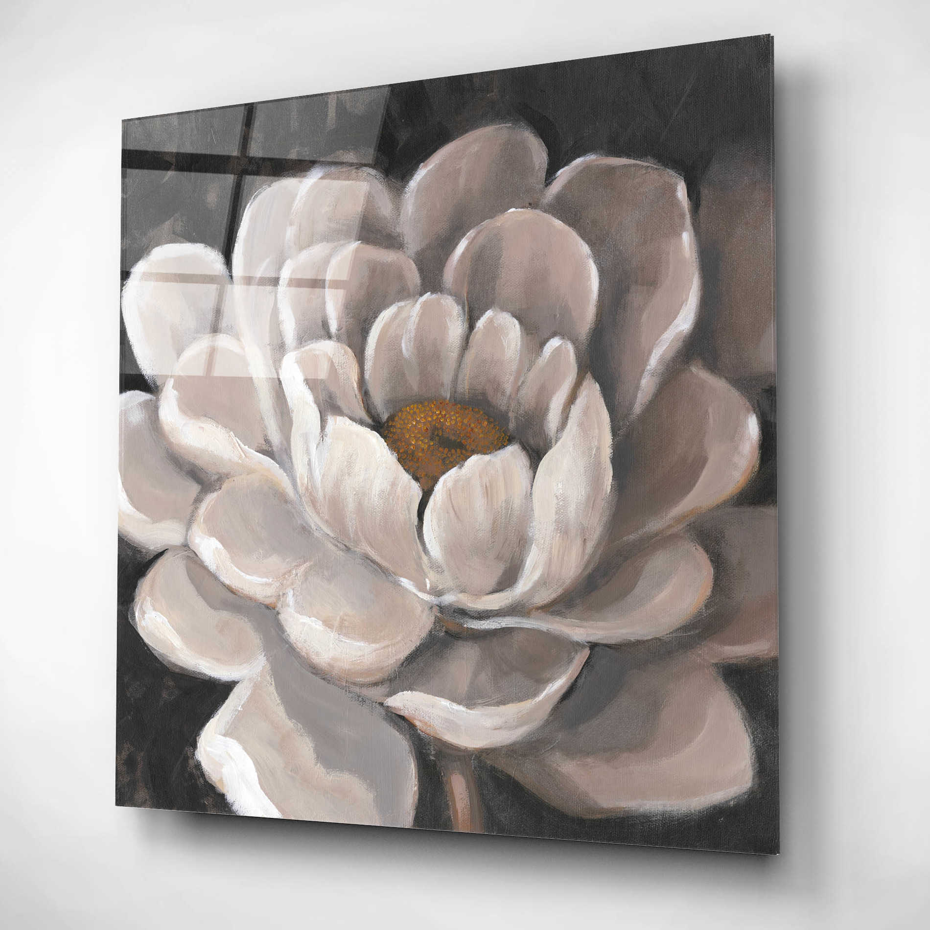 Epic Art 'Neutral Fleur I' by Tim O'Toole, Acrylic Glass Wall Art,12x12