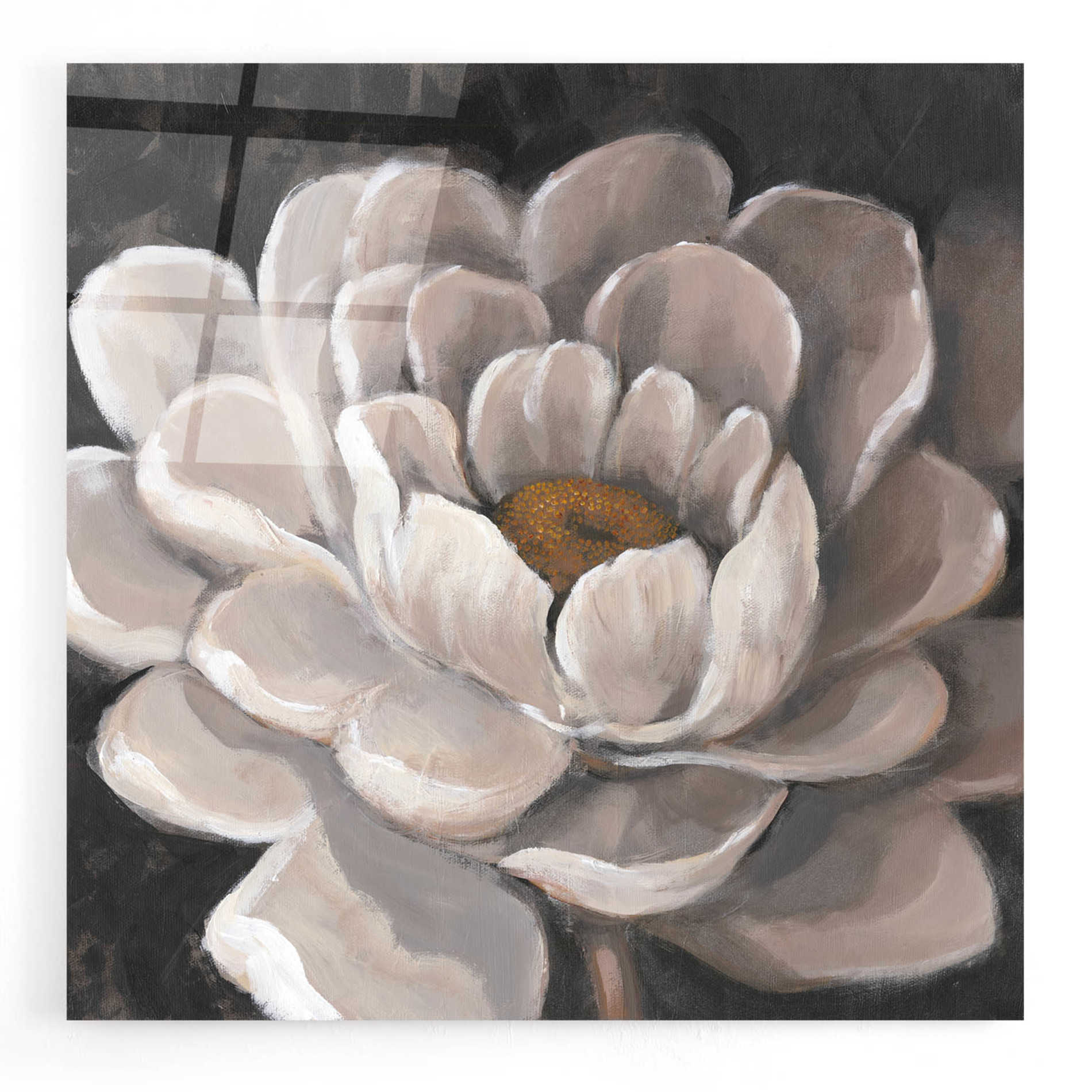 Epic Art 'Neutral Fleur I' by Tim O'Toole, Acrylic Glass Wall Art,24x24