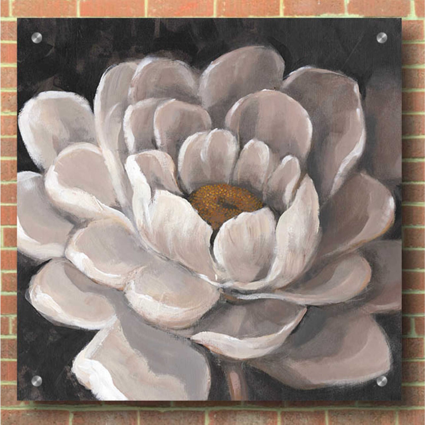 Epic Art 'Neutral Fleur I' by Tim O'Toole, Acrylic Glass Wall Art,36x36