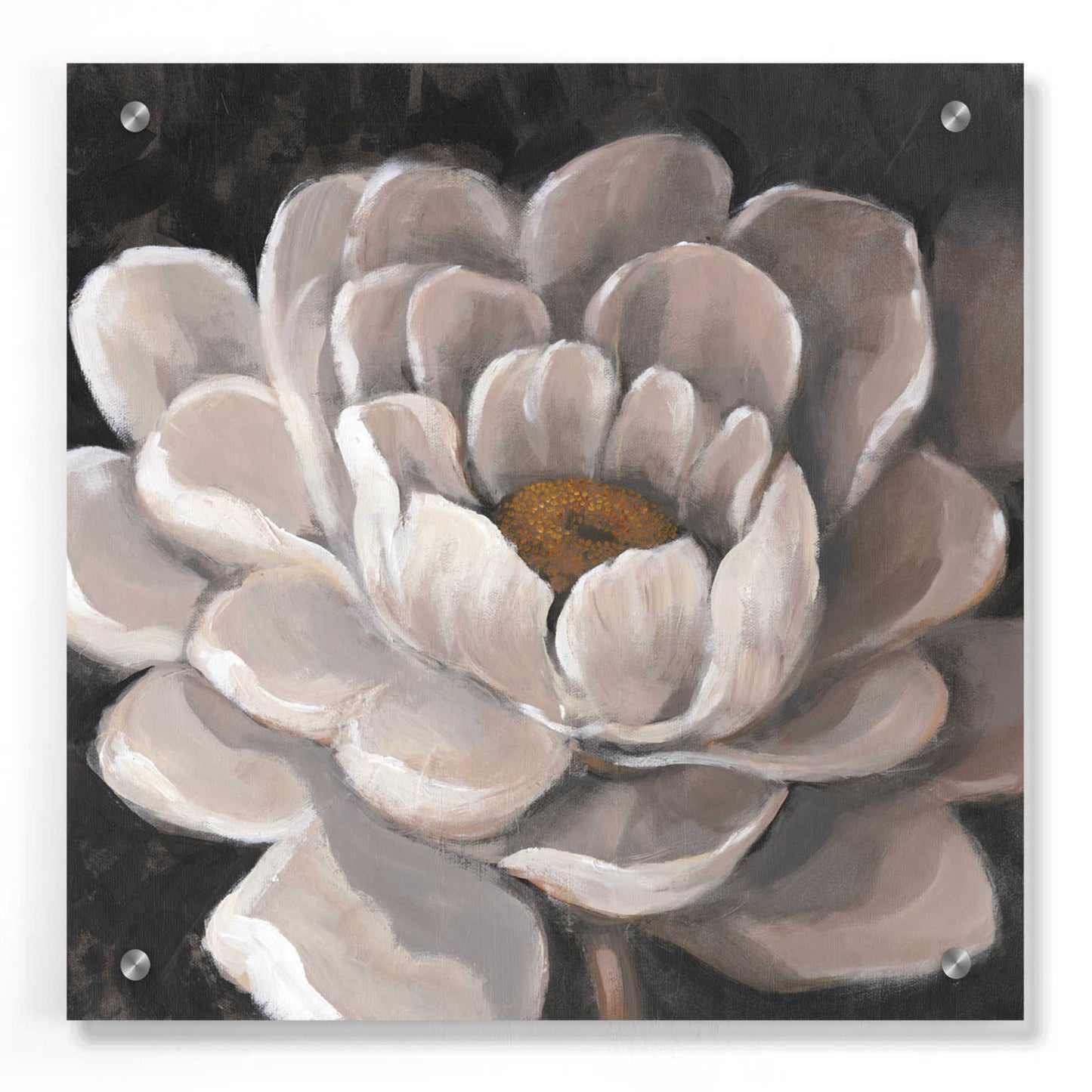 Epic Art 'Neutral Fleur I' by Tim O'Toole, Acrylic Glass Wall Art,36x36