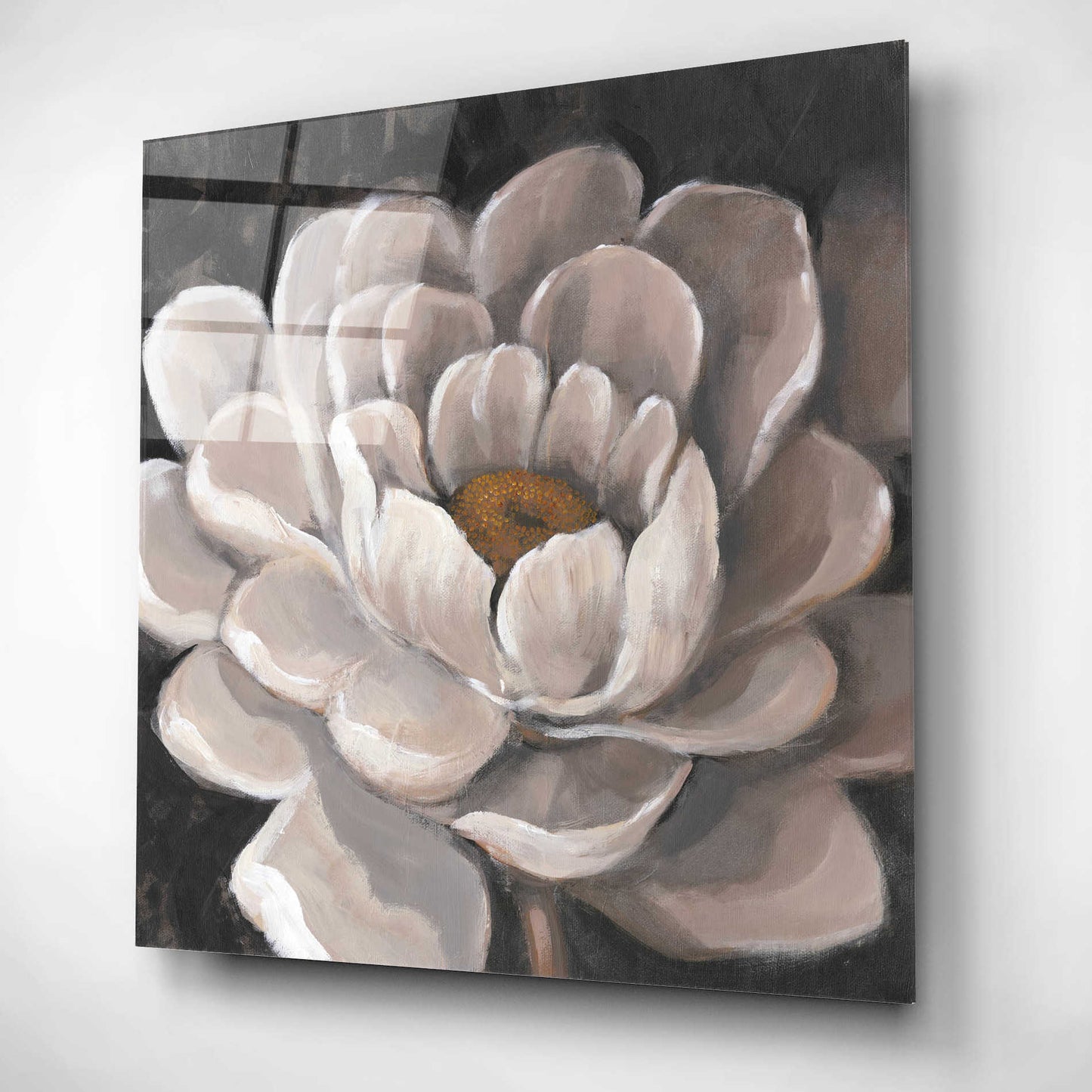 Epic Art 'Neutral Fleur I' by Tim O'Toole, Acrylic Glass Wall Art